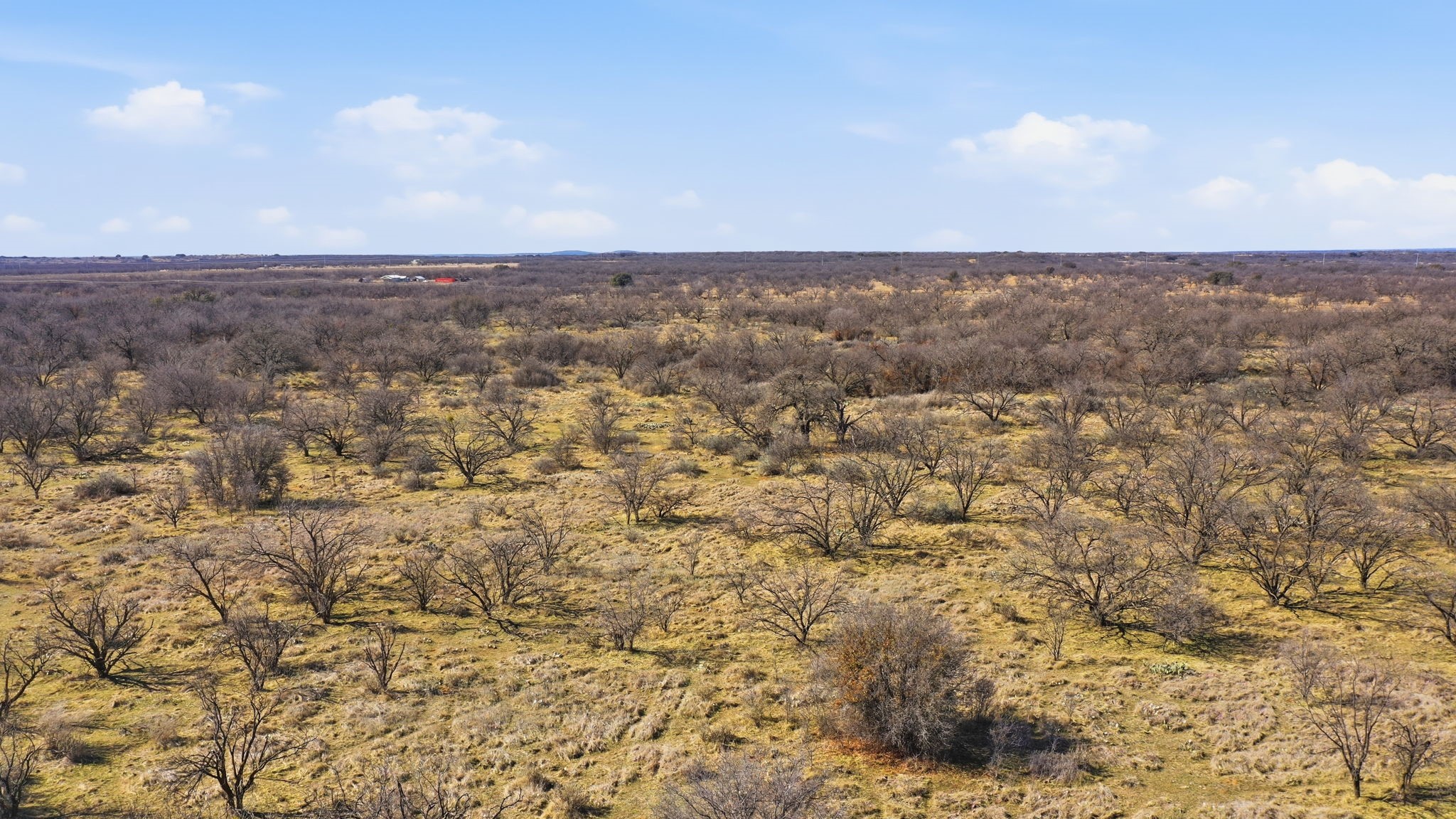Tract 1 Fm 880 Moran TX 76464