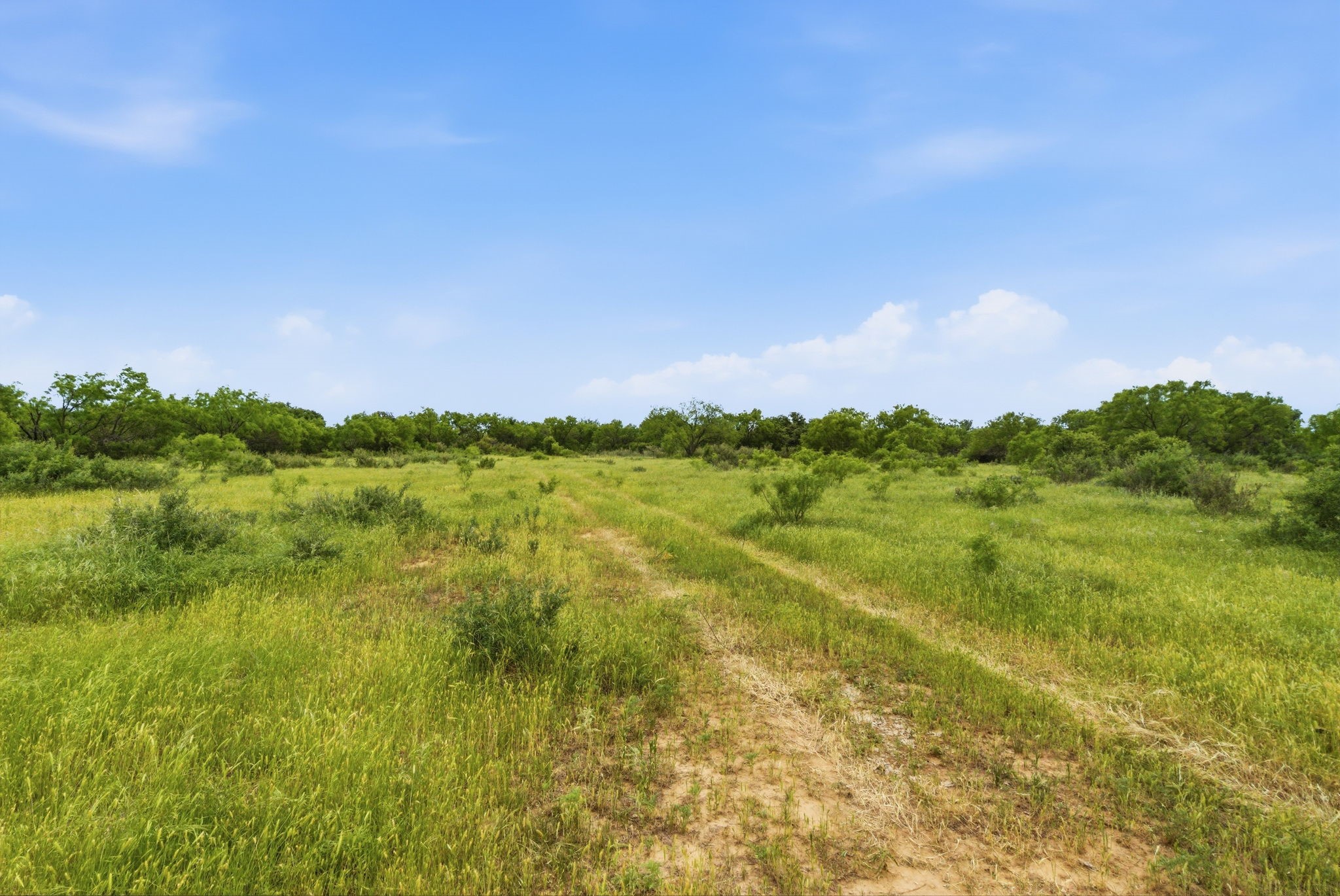 Tract 1 Fm 880 Moran TX 76464