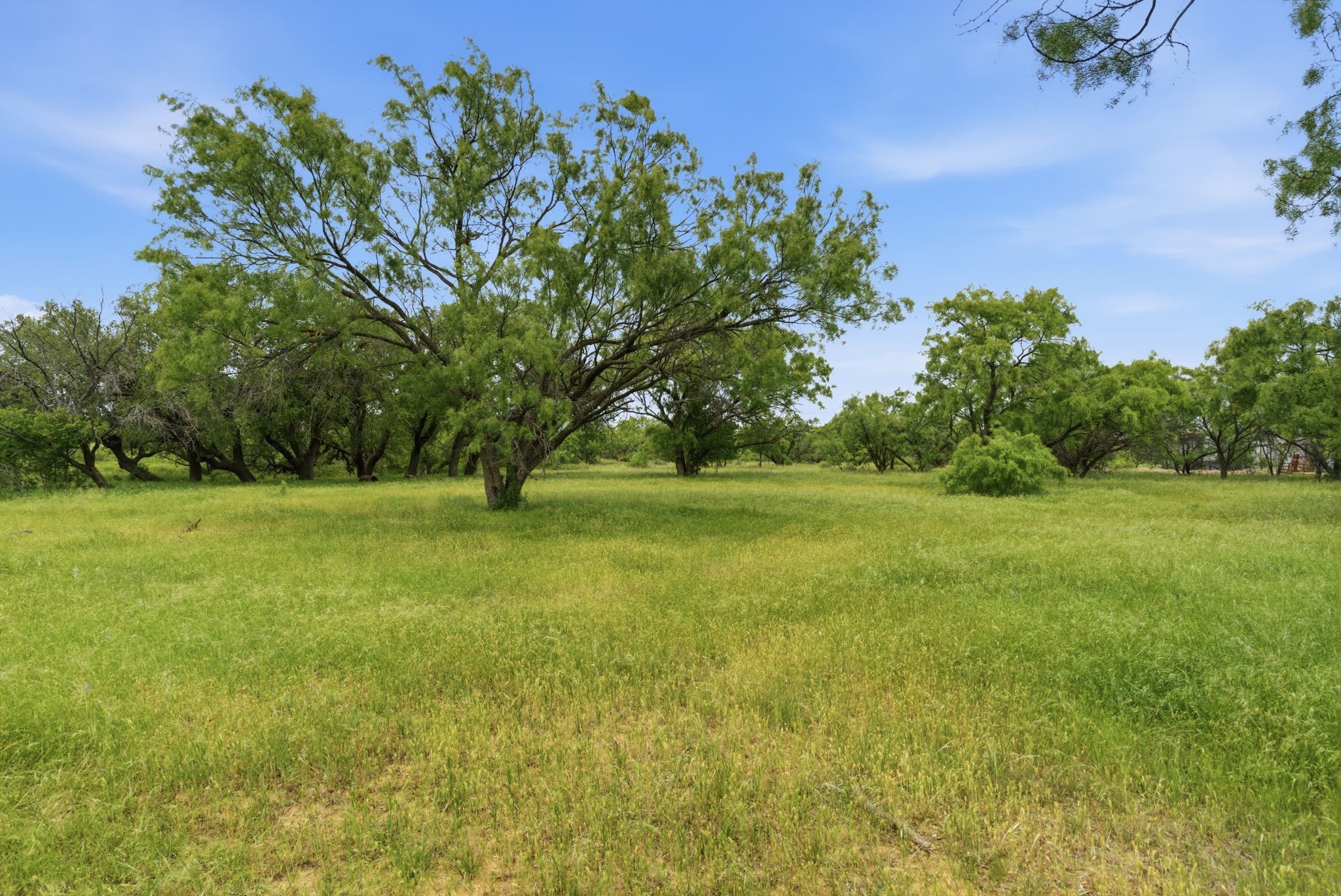 Tract 1 Fm 880 Moran TX 76464