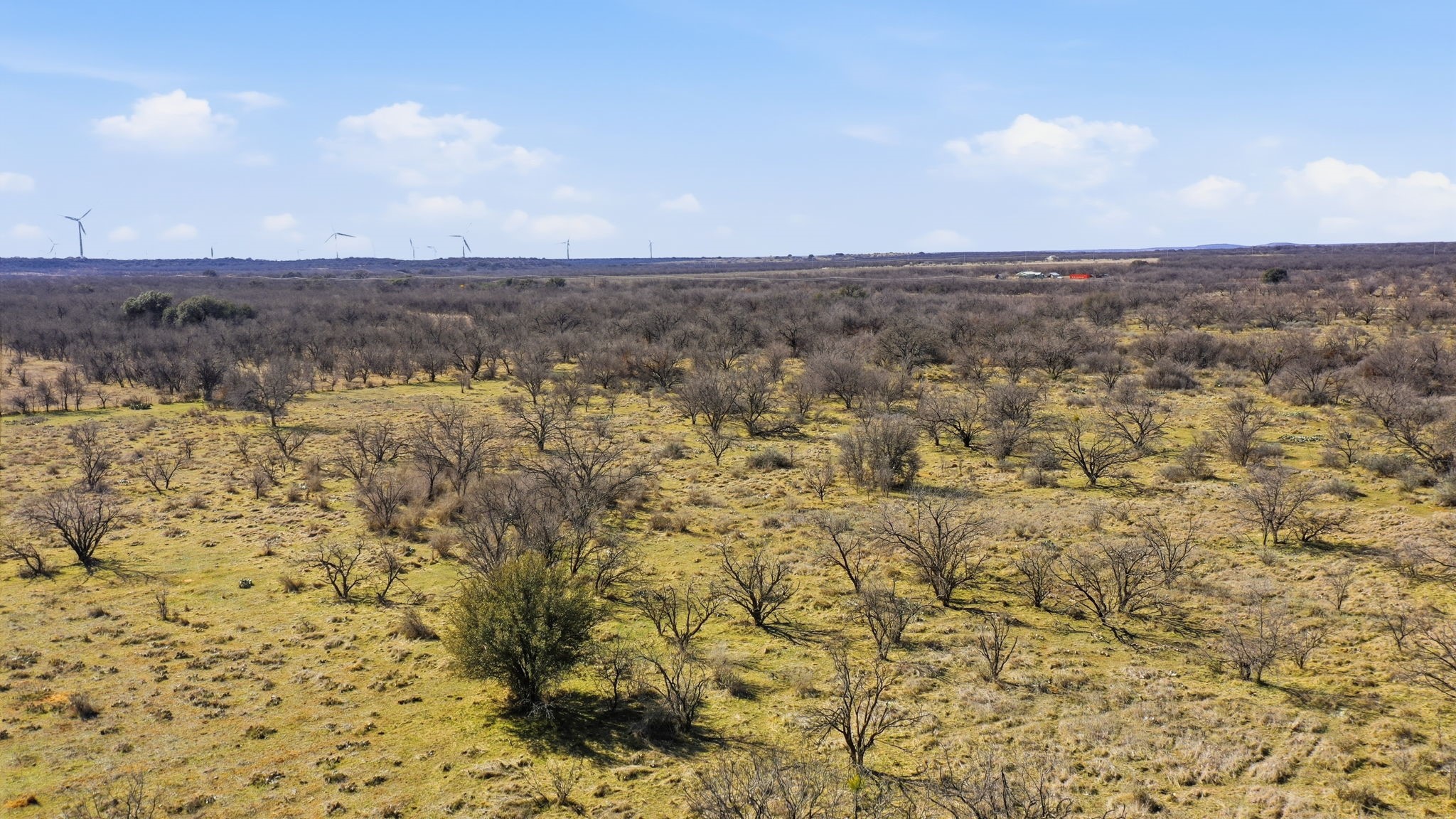 Tract 1 Fm 880 Moran TX 76464