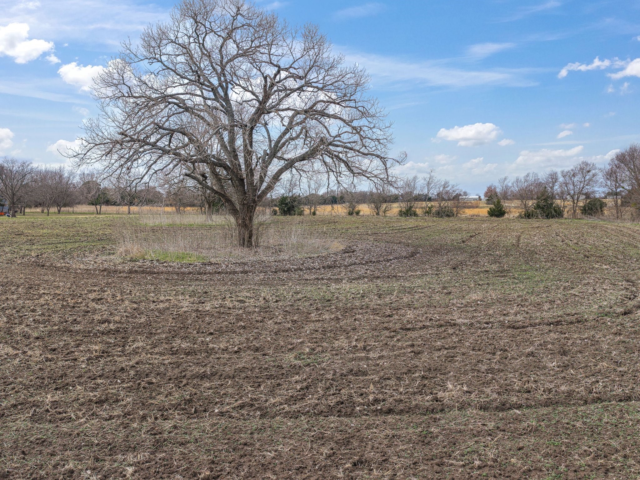 Tbd Oak Grove Road Ennis TX 75119
