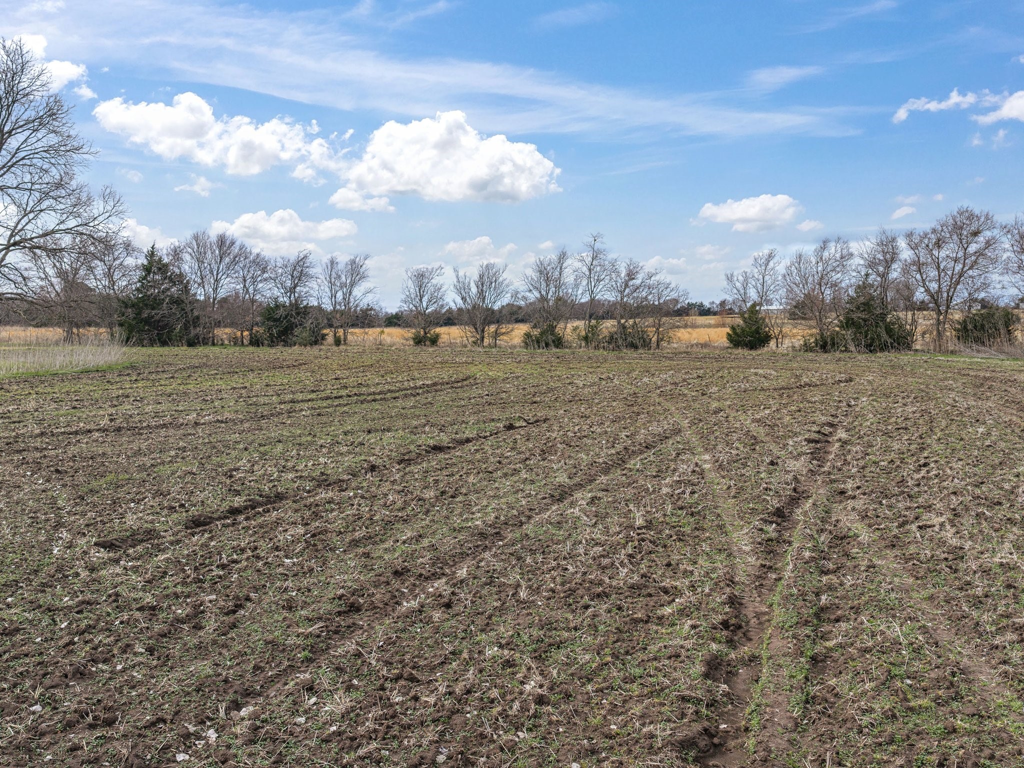 Tbd Oak Grove Road Ennis TX 75119