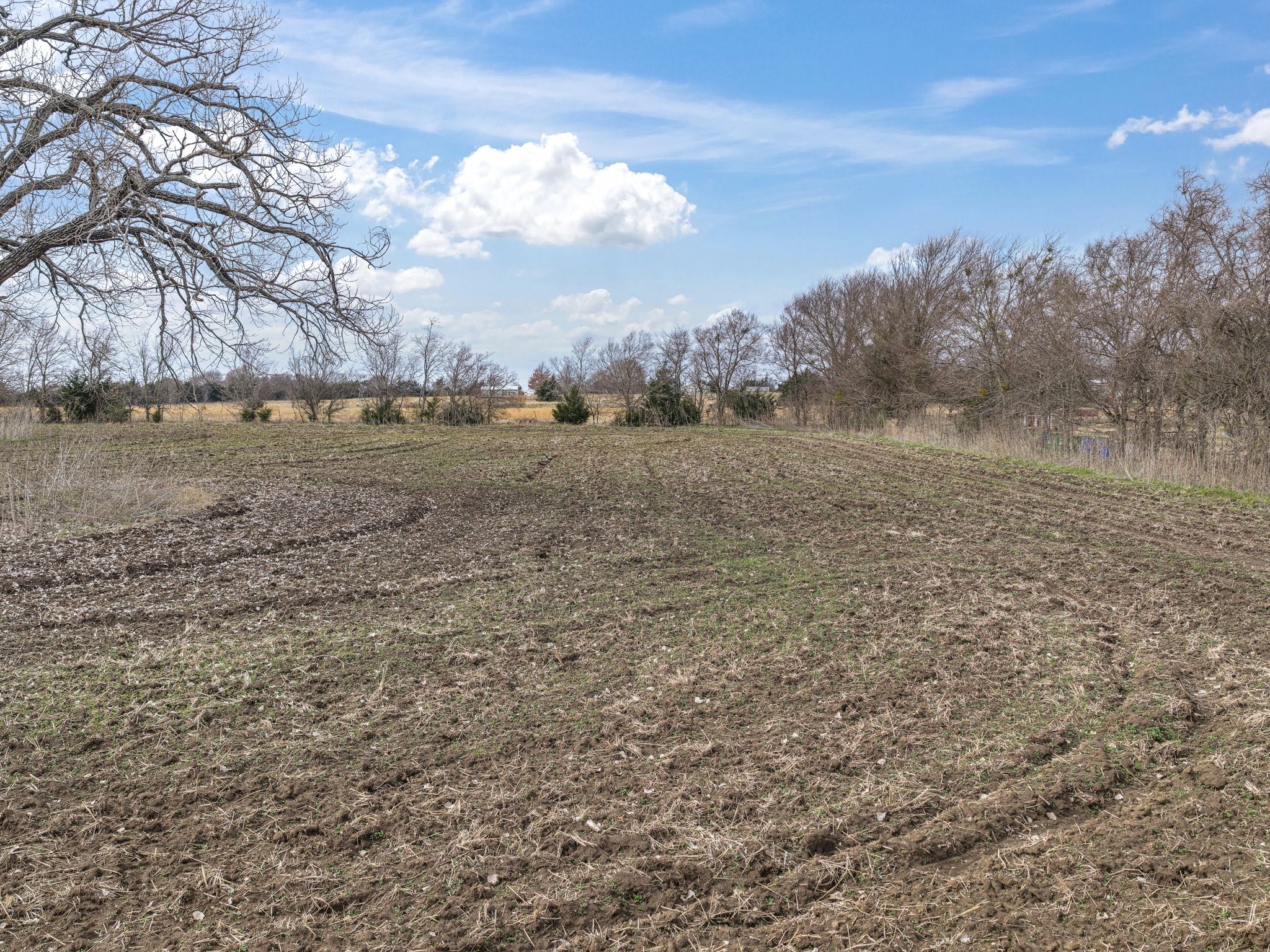 Tbd Oak Grove Road Ennis TX 75119