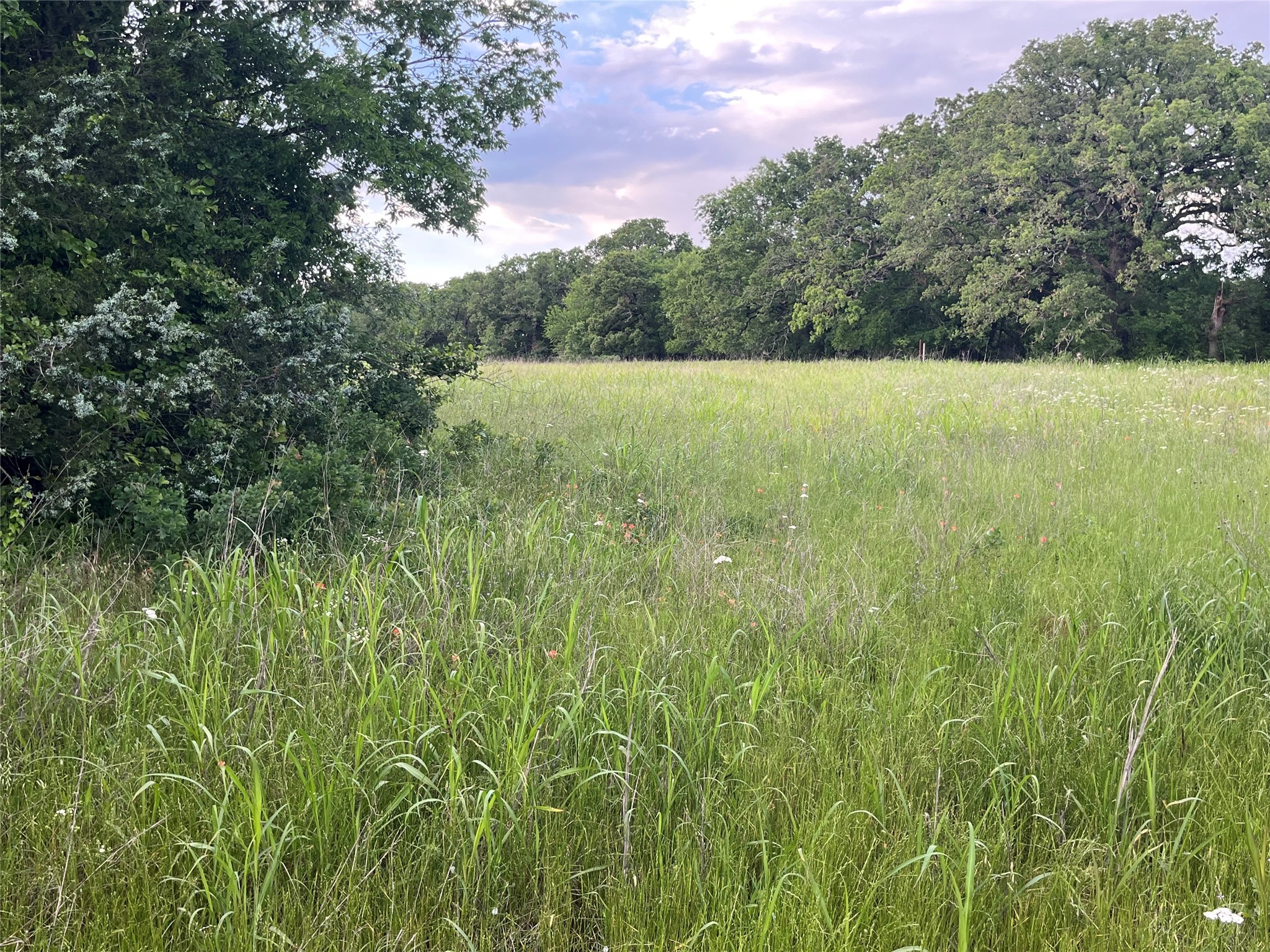 Tract 1 Fm 3043 Bowie TX 76230