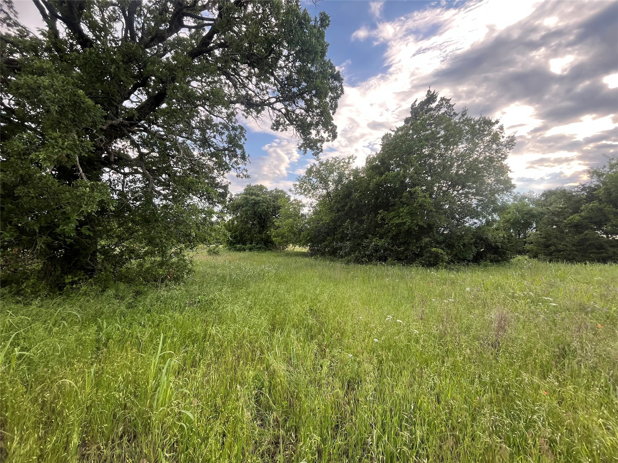 Tract 1 Fm 3043 Bowie TX 76230