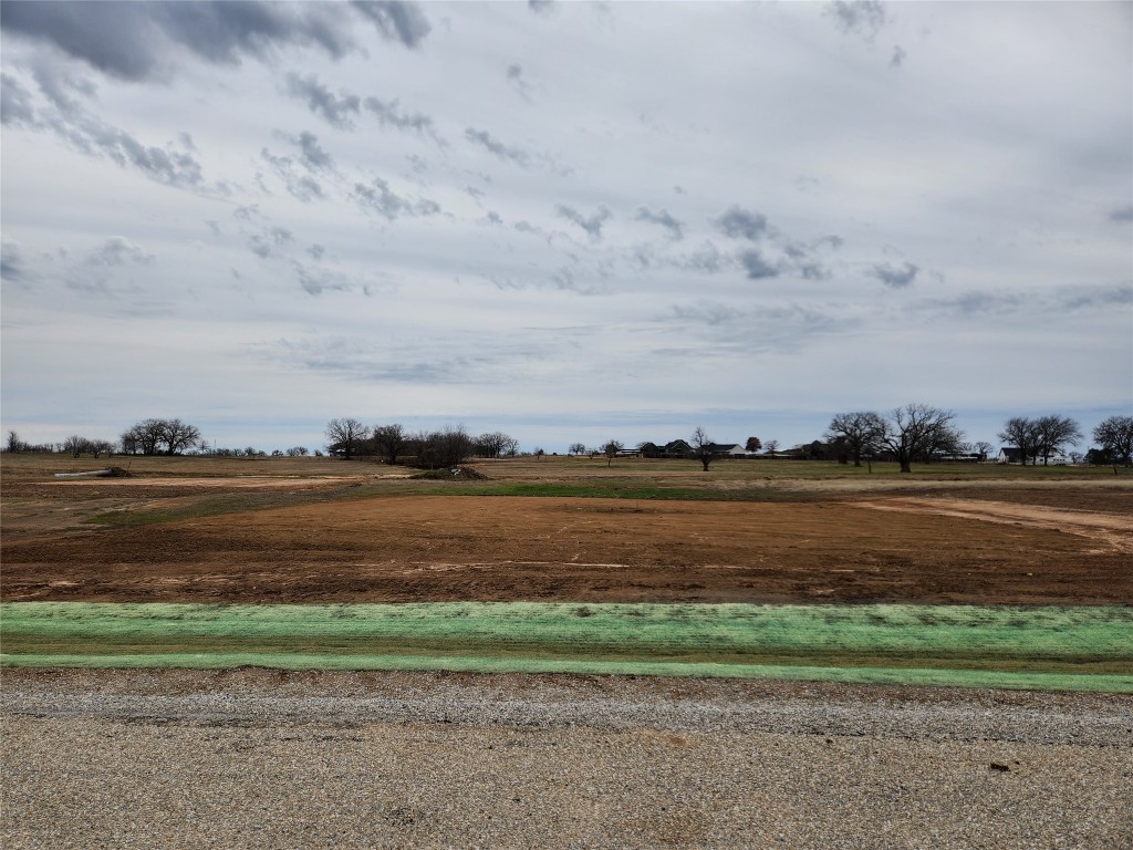 169 Lonicera Lane Paradise TX 76073