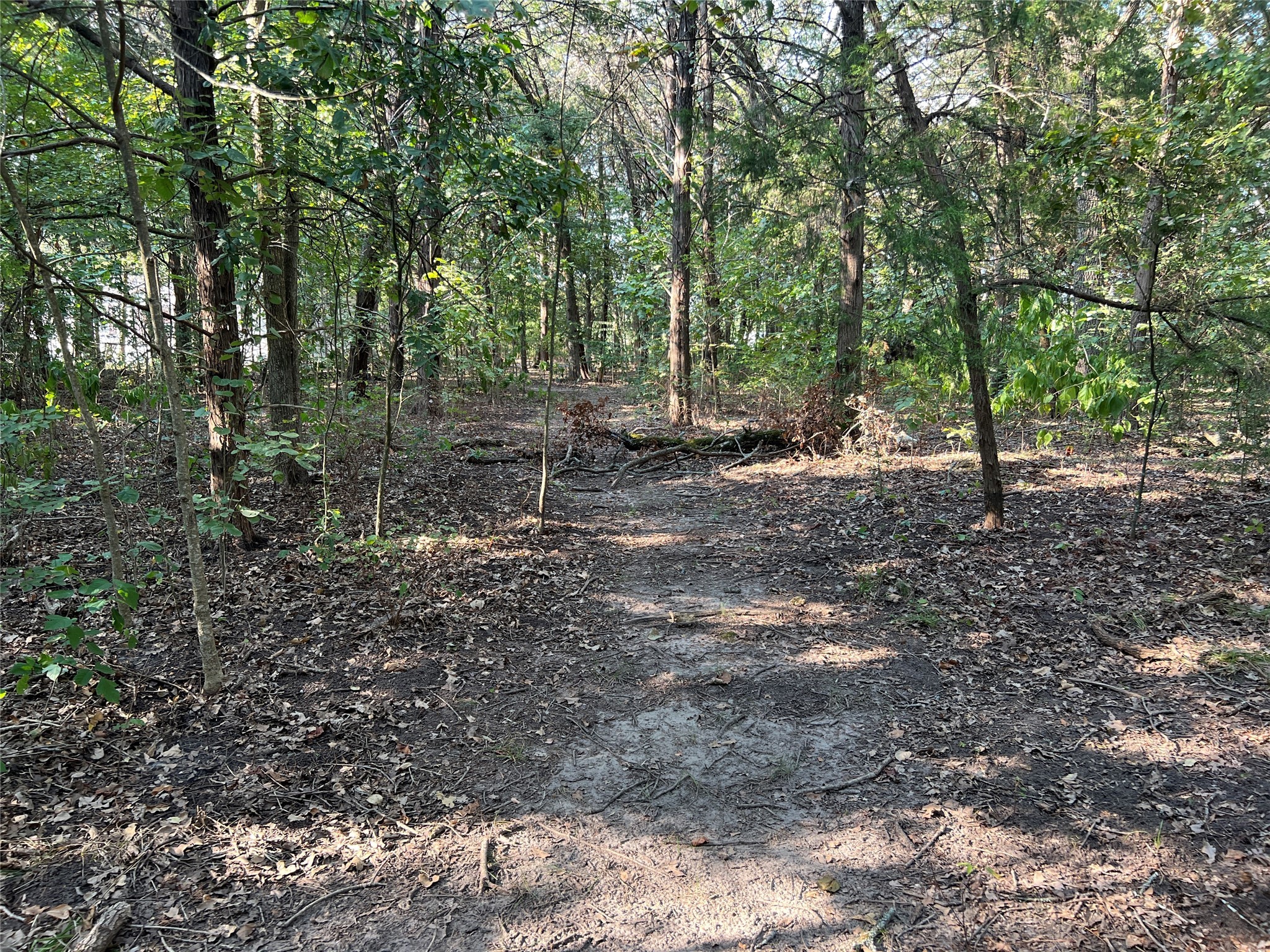 16333 Co Road 339 Terrell TX 75161
