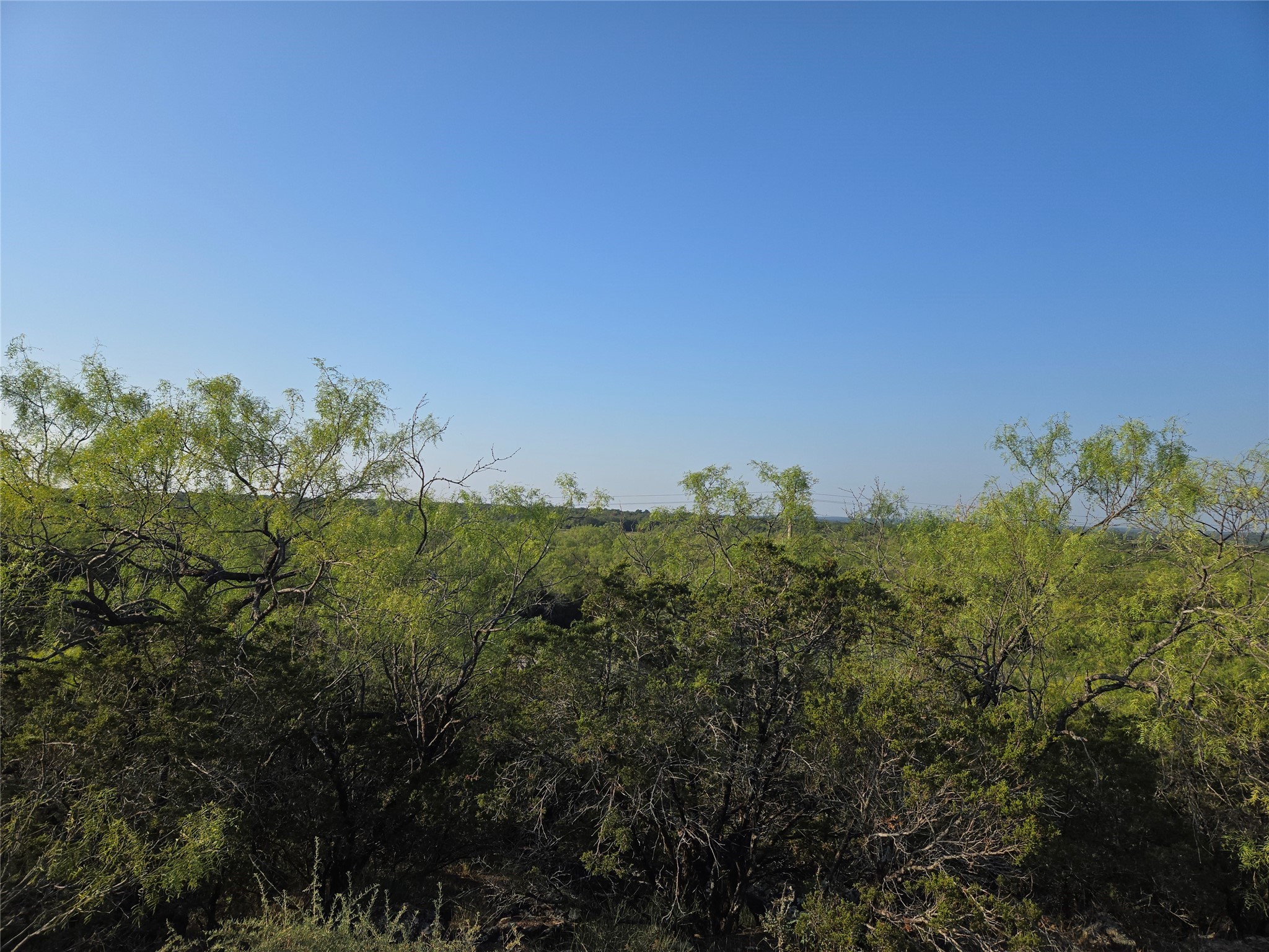 Lot 194 Plesant Valley Road Mineral Wells TX 75067