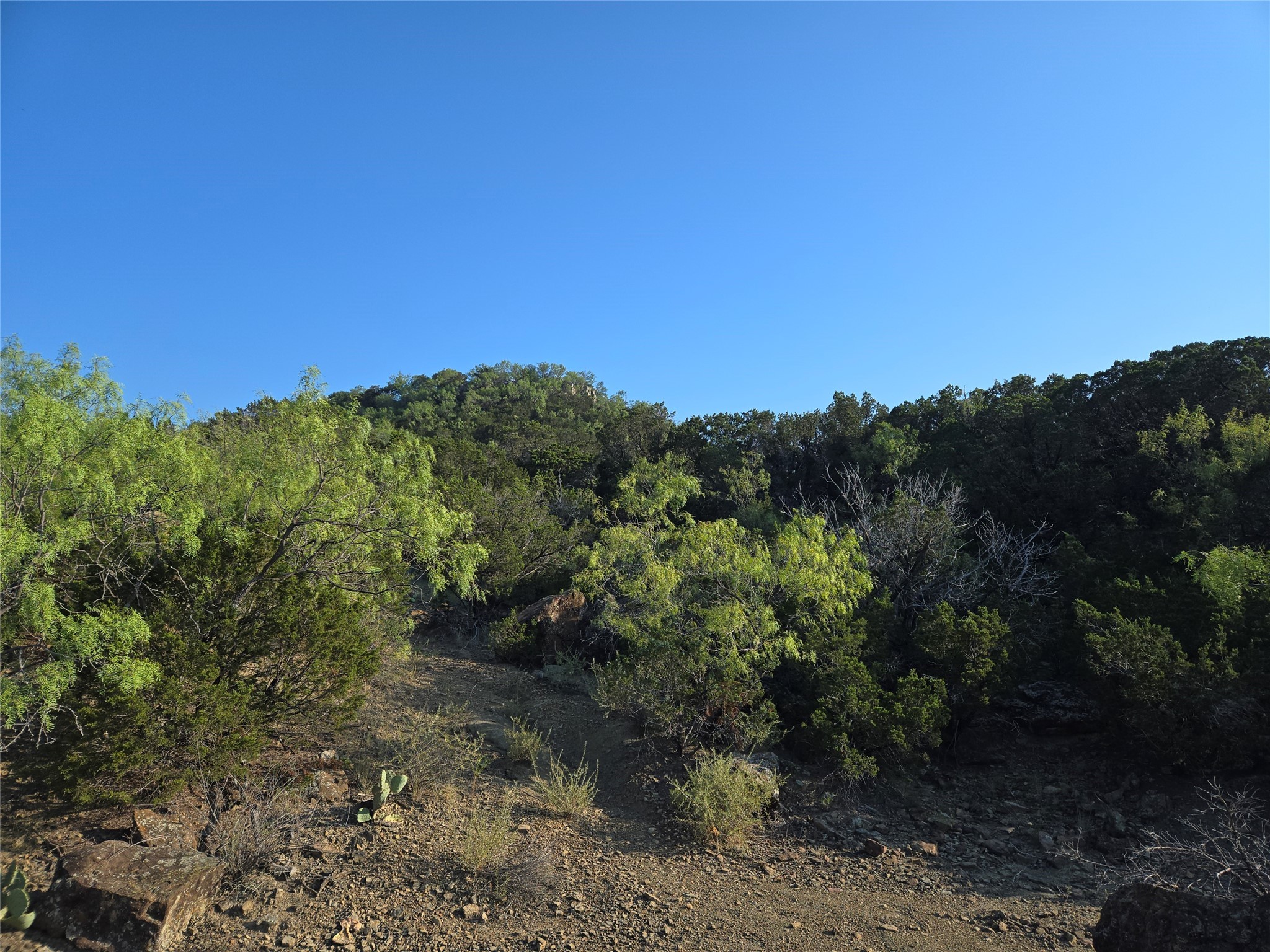 Lot 194 Plesant Valley Road Mineral Wells TX 75067