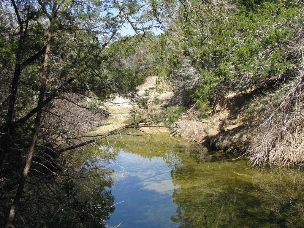 7402 Cr 137 Gatesville TX 76528