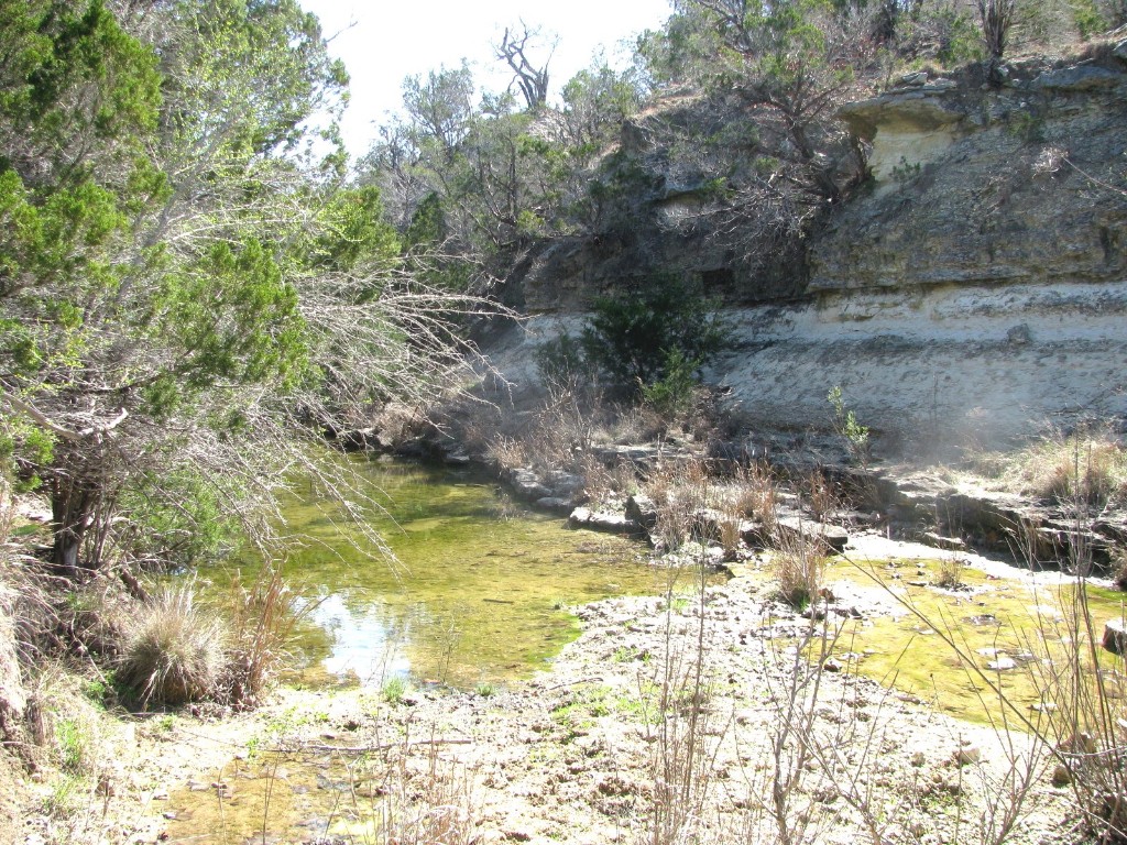 7402 Cr 137 Gatesville TX 76528