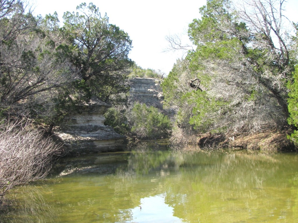 7402 Cr 137 Gatesville TX 76528