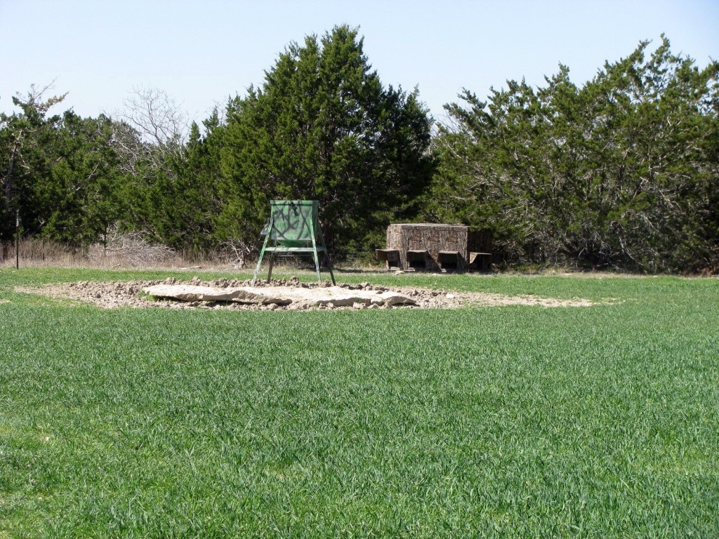 7402 Cr 137 Gatesville TX 76528