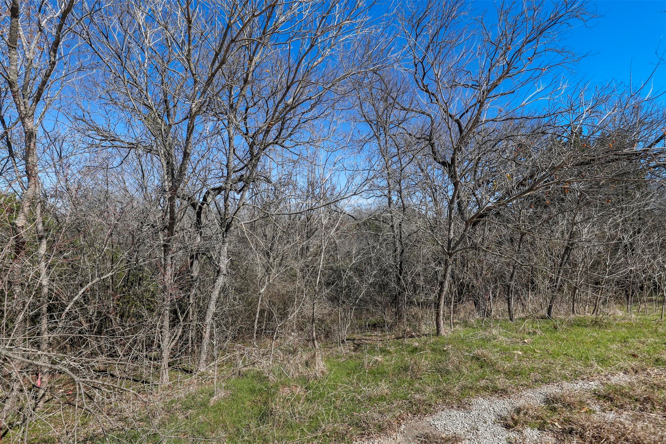 38107 Misty Ridge Drive Whitney TX 76692