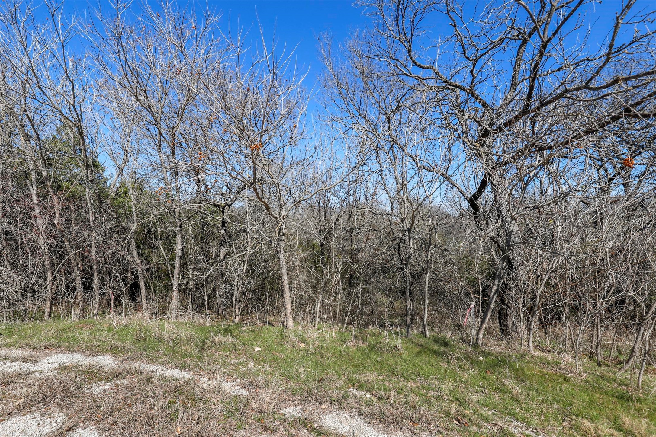 38107 Misty Ridge Drive Whitney TX 76692