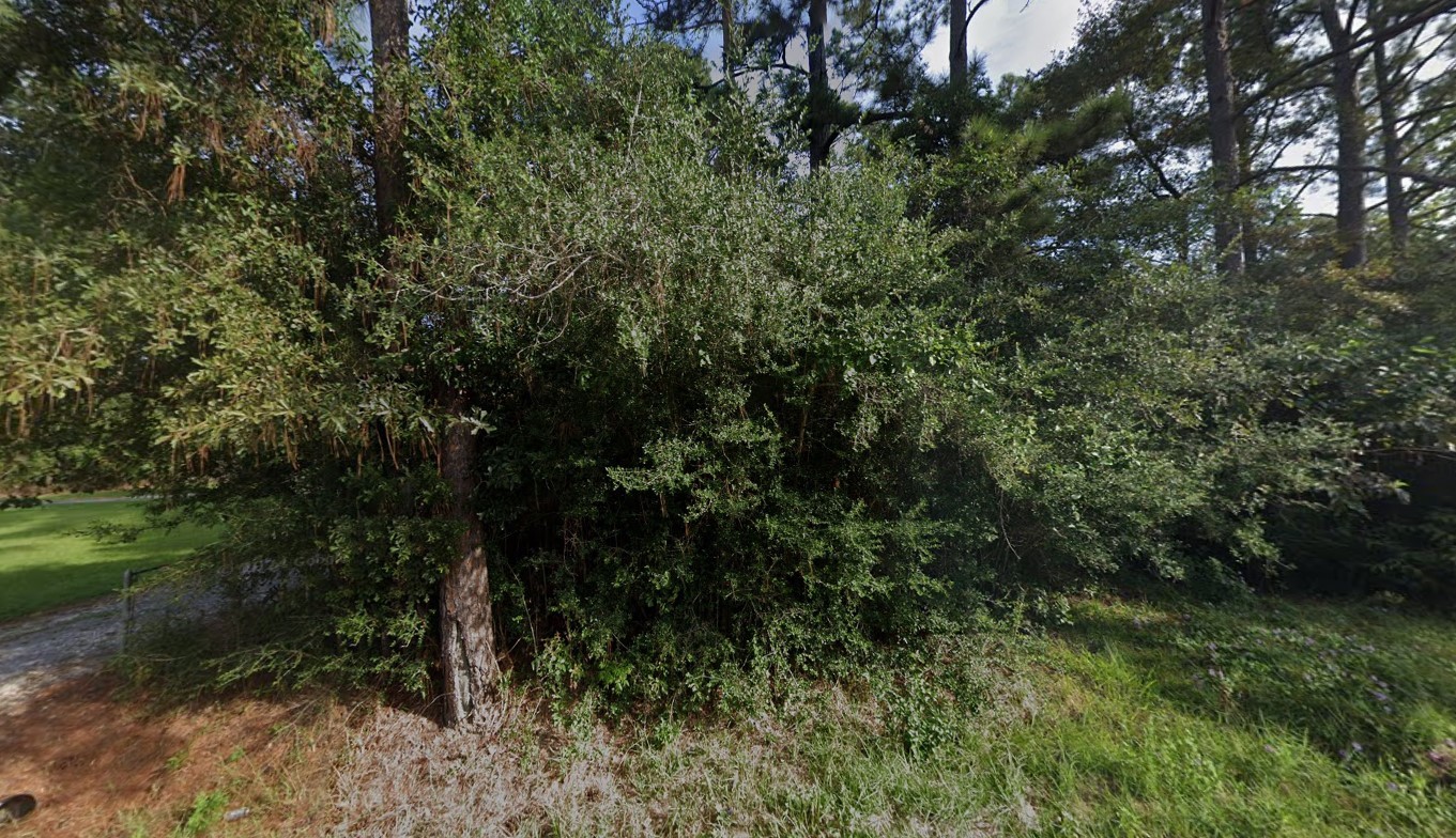 476 Pine Burr Loop Lumberton TX 77657