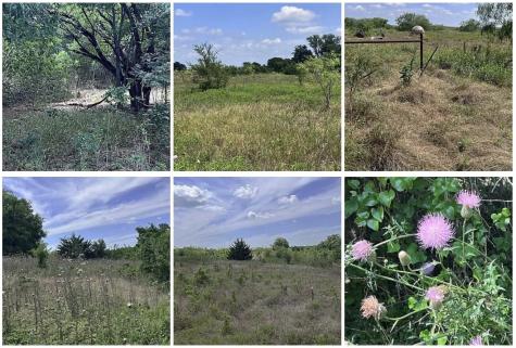 Tbd Hcr 2446 Hillsboro TX 76645