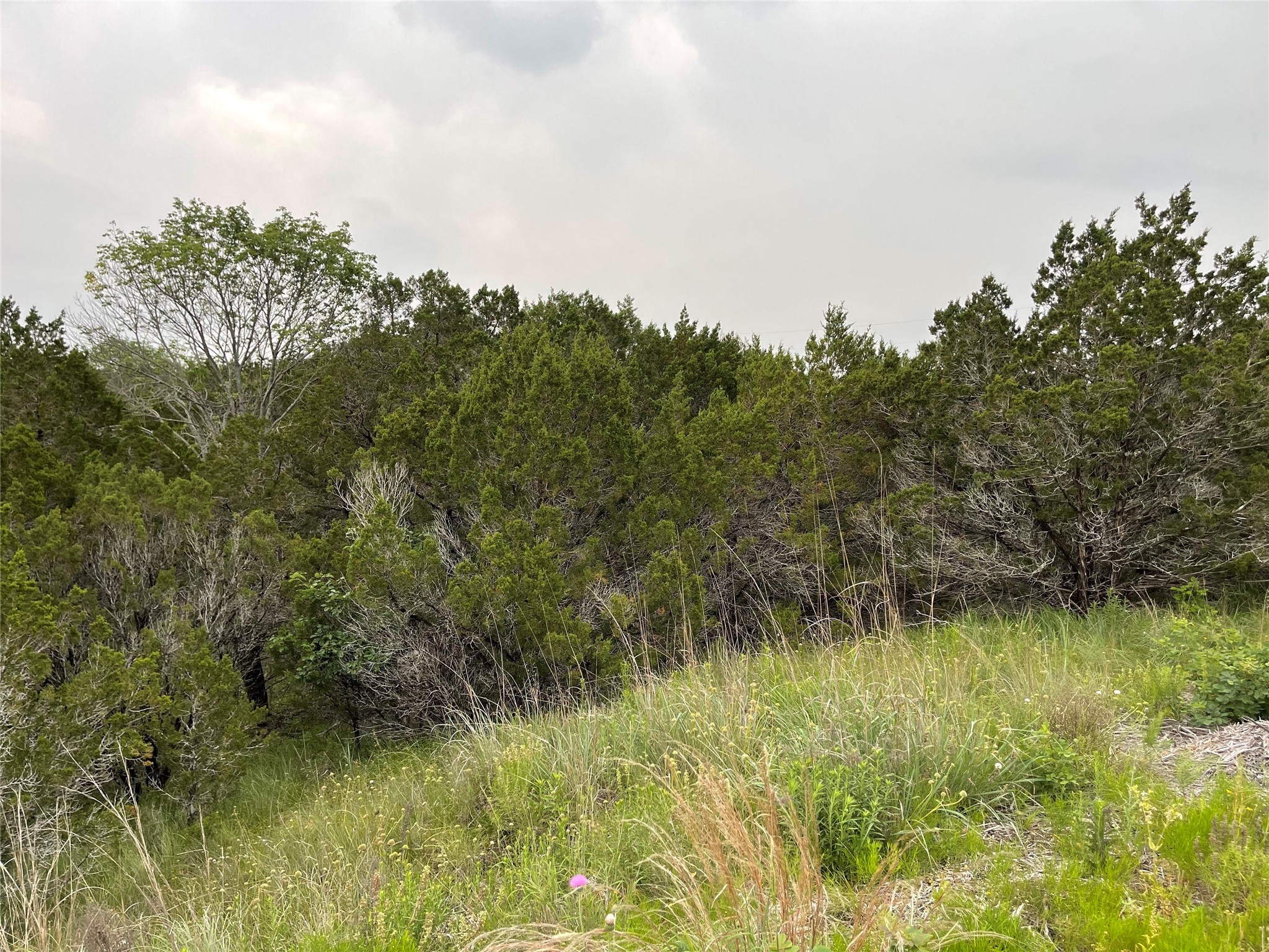 1083 Cedar Hill Drive Nemo TX 76070