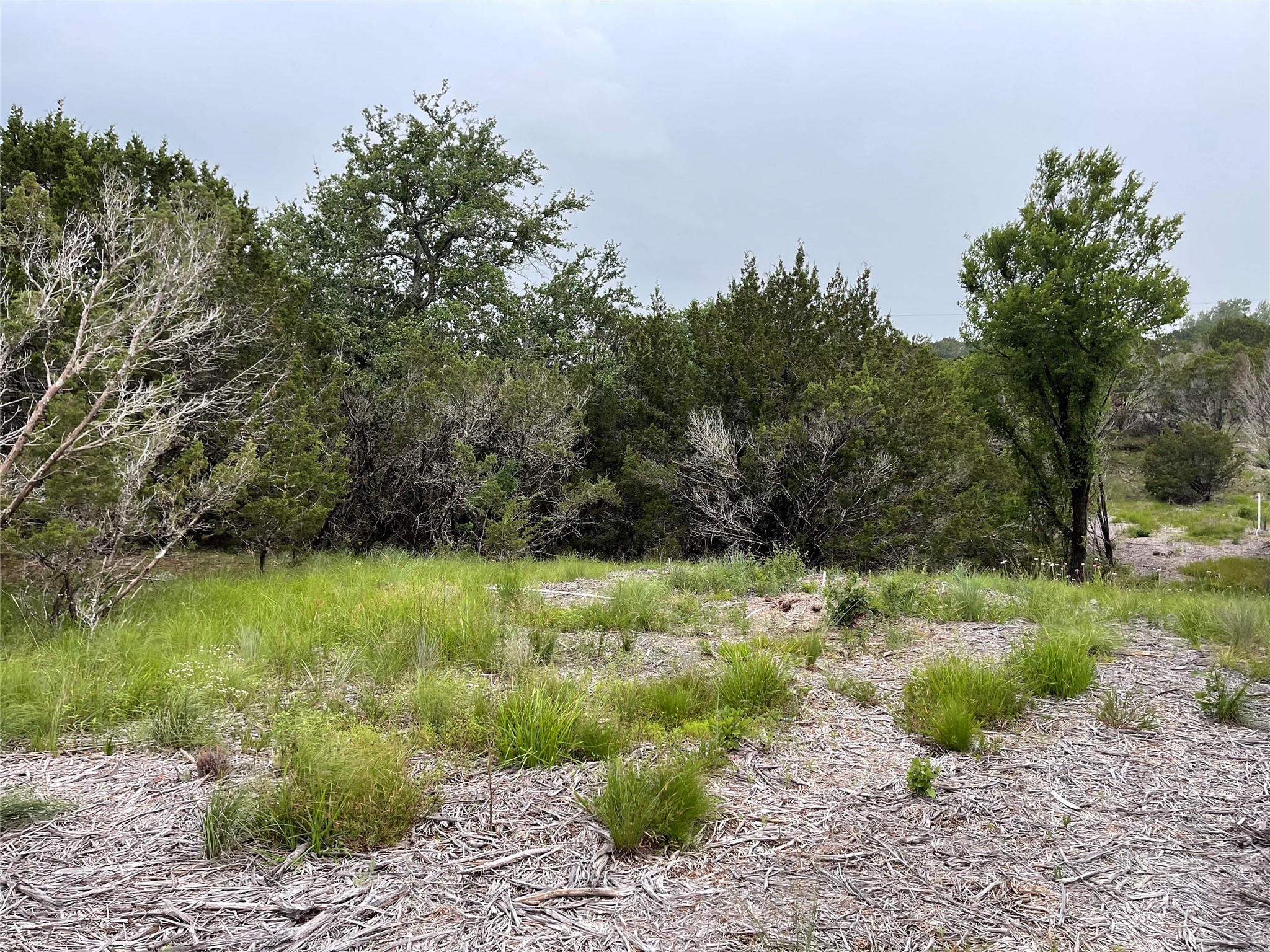 1083 Cedar Hill Drive Nemo TX 76070