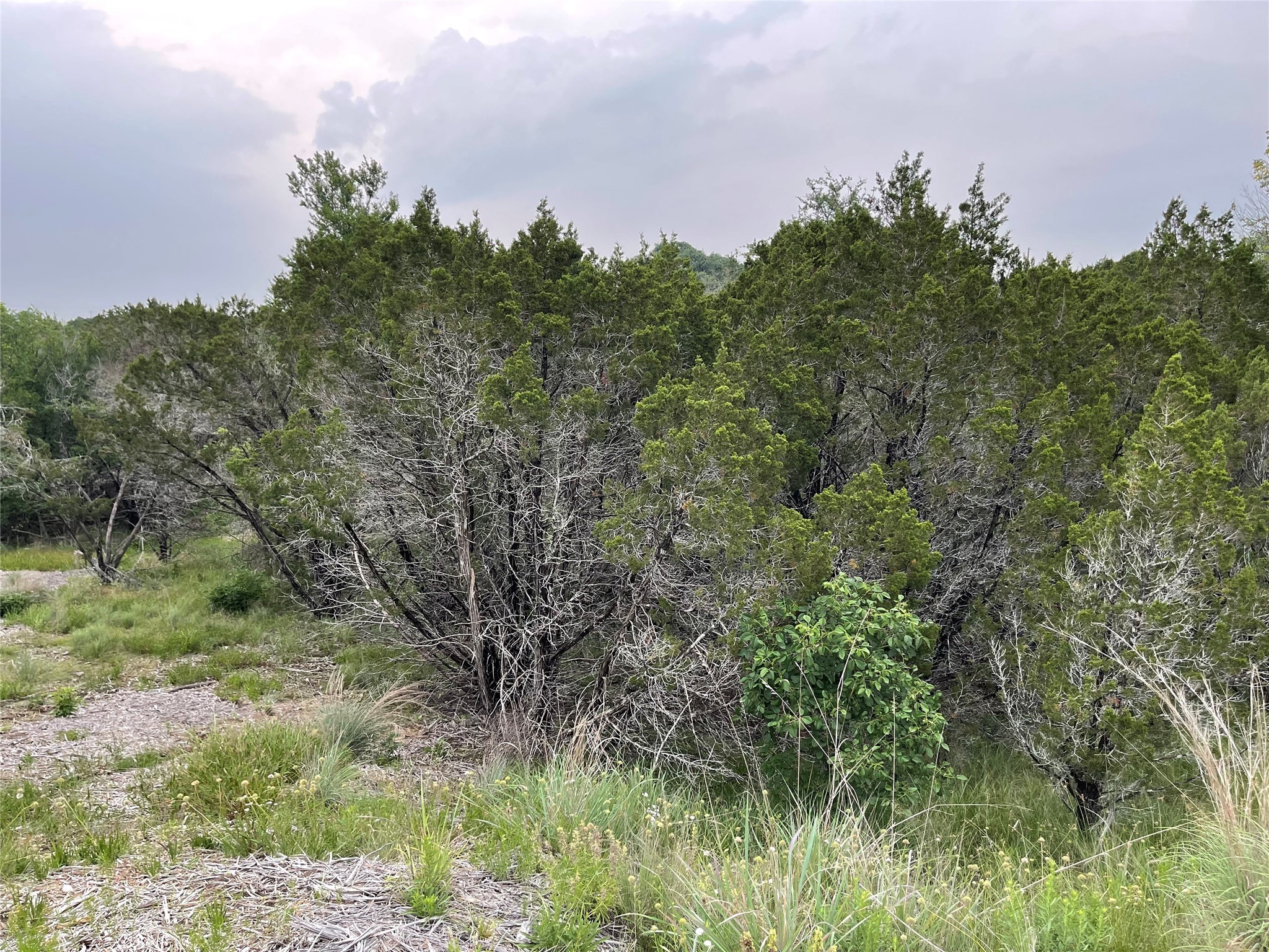 1083 Cedar Hill Drive Nemo TX 76070