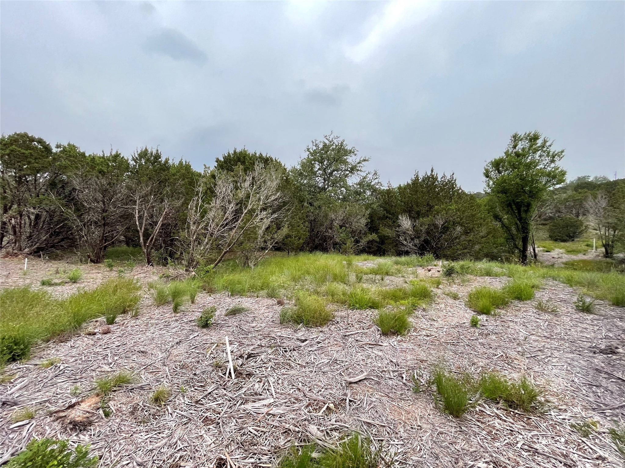 1083 Cedar Hill Drive Nemo TX 76070
