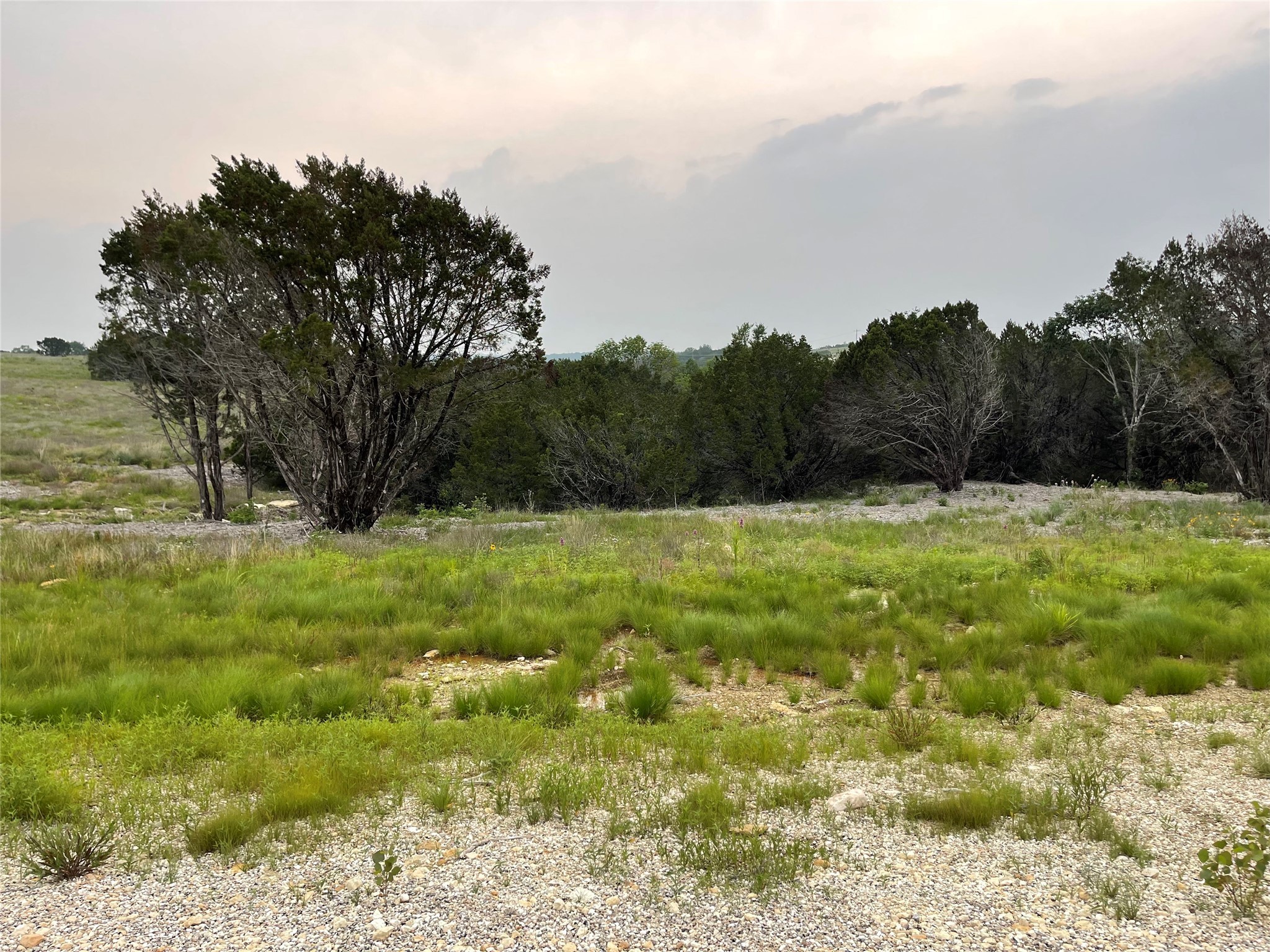 1083 Cedar Hill Drive Nemo TX 76070