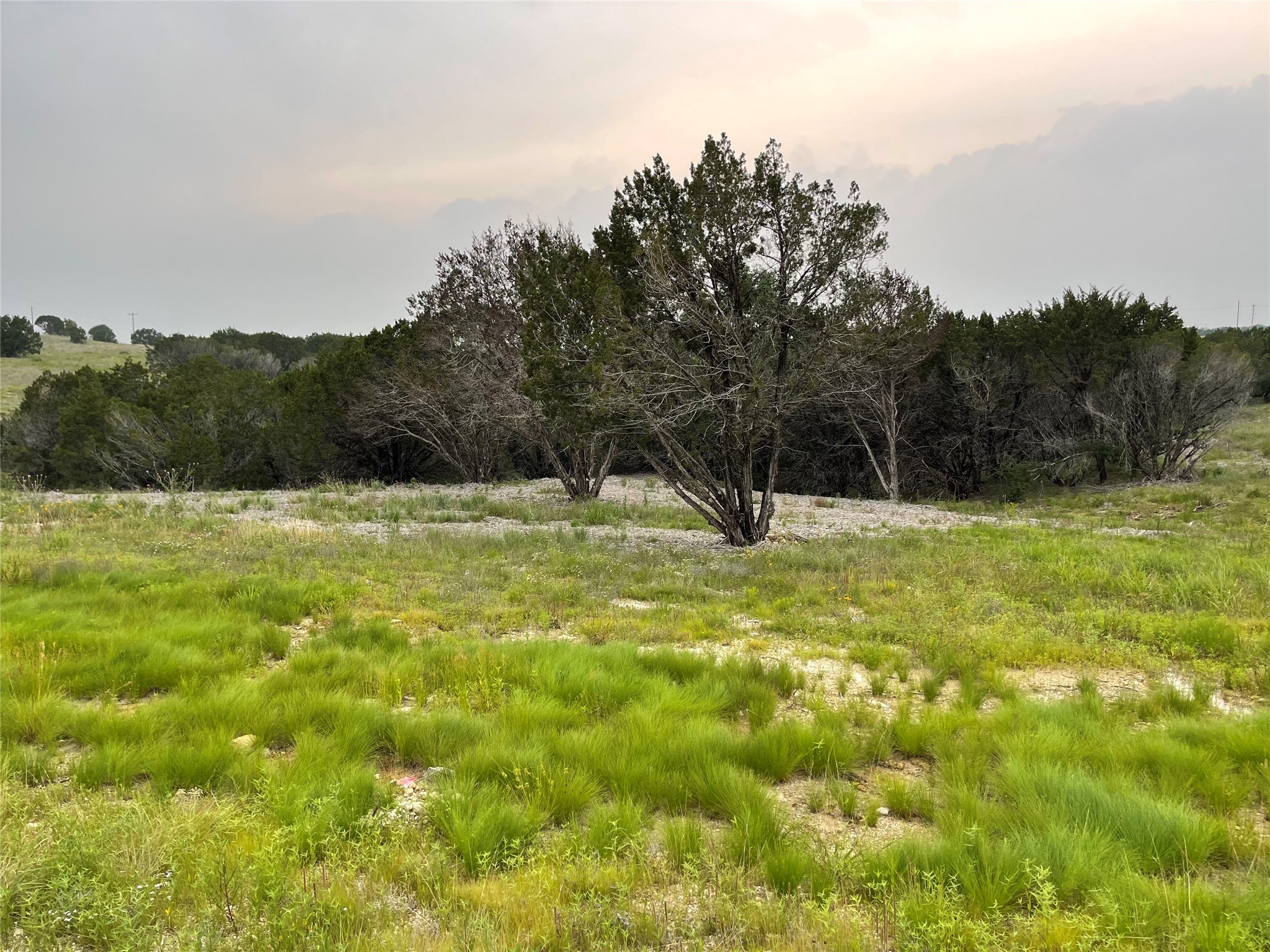 1083 Cedar Hill Drive Nemo TX 76070