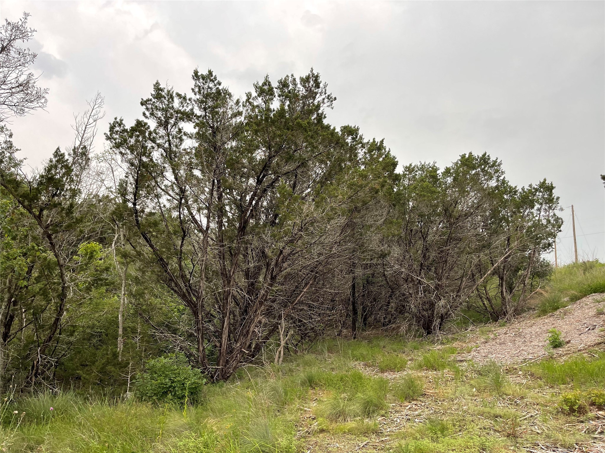 1083 Cedar Hill Drive Nemo TX 76070