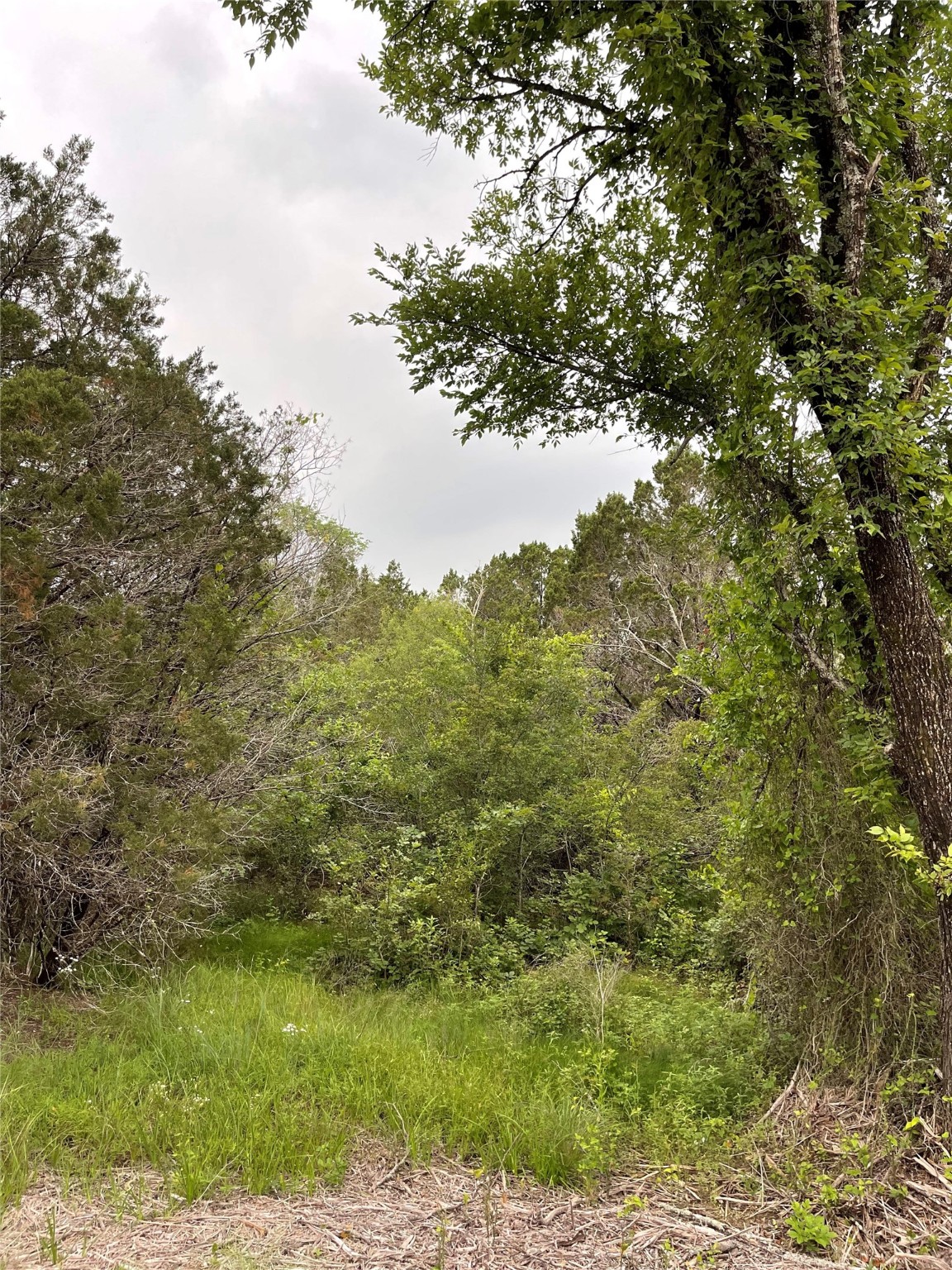 1083 Cedar Hill Drive Nemo TX 76070