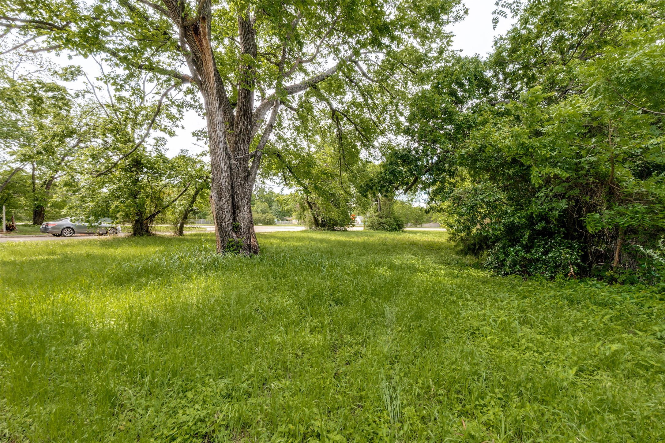 3711 Carpenter Avenue Dallas TX 75210