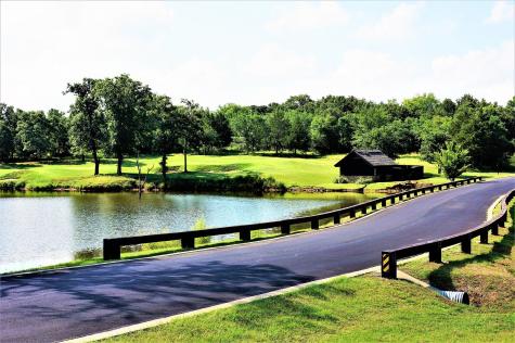 697 Pasadera Circle Gordonville TX 76245