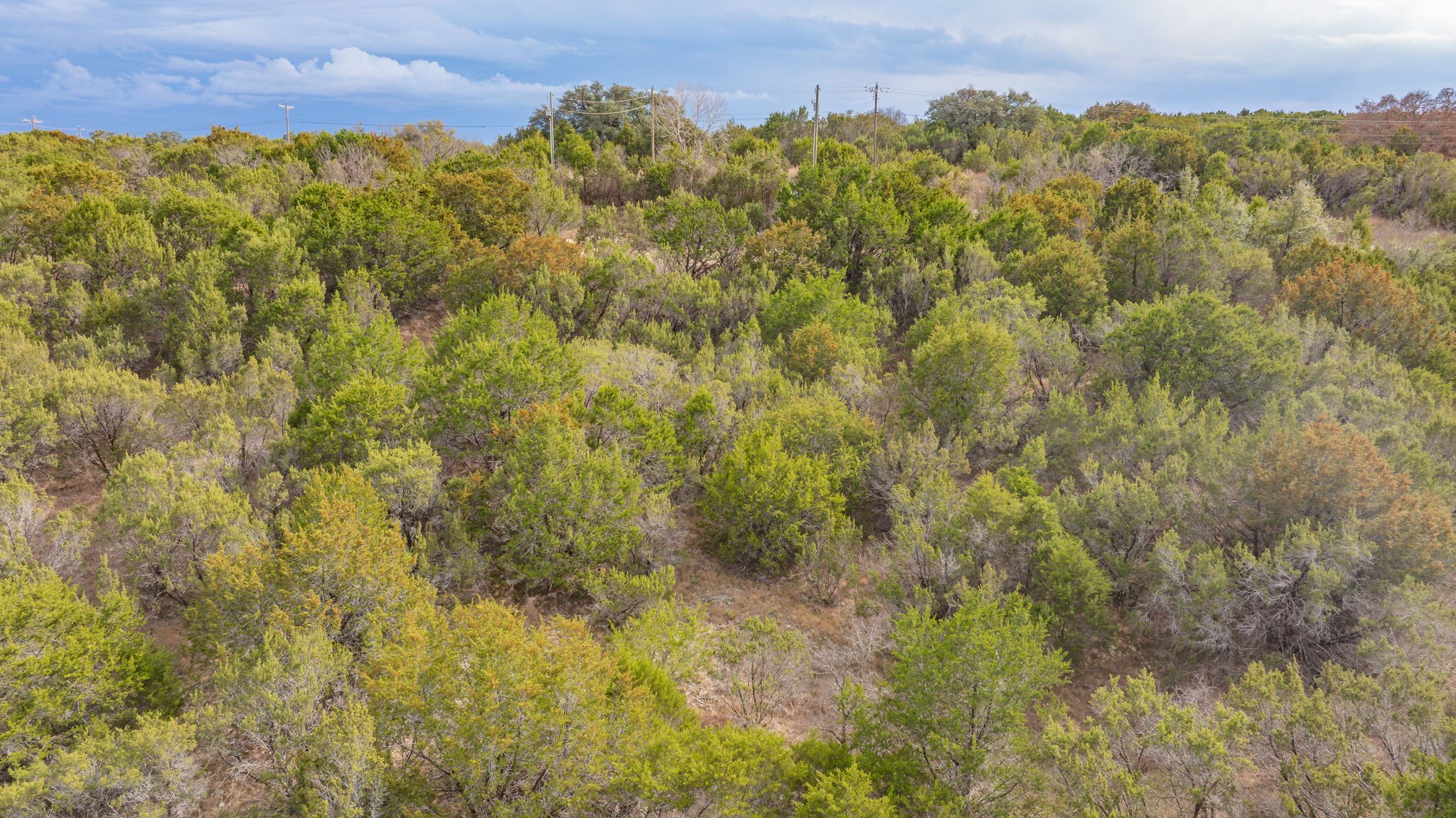 4175 Skyline Drive Bluff Dale TX 76433