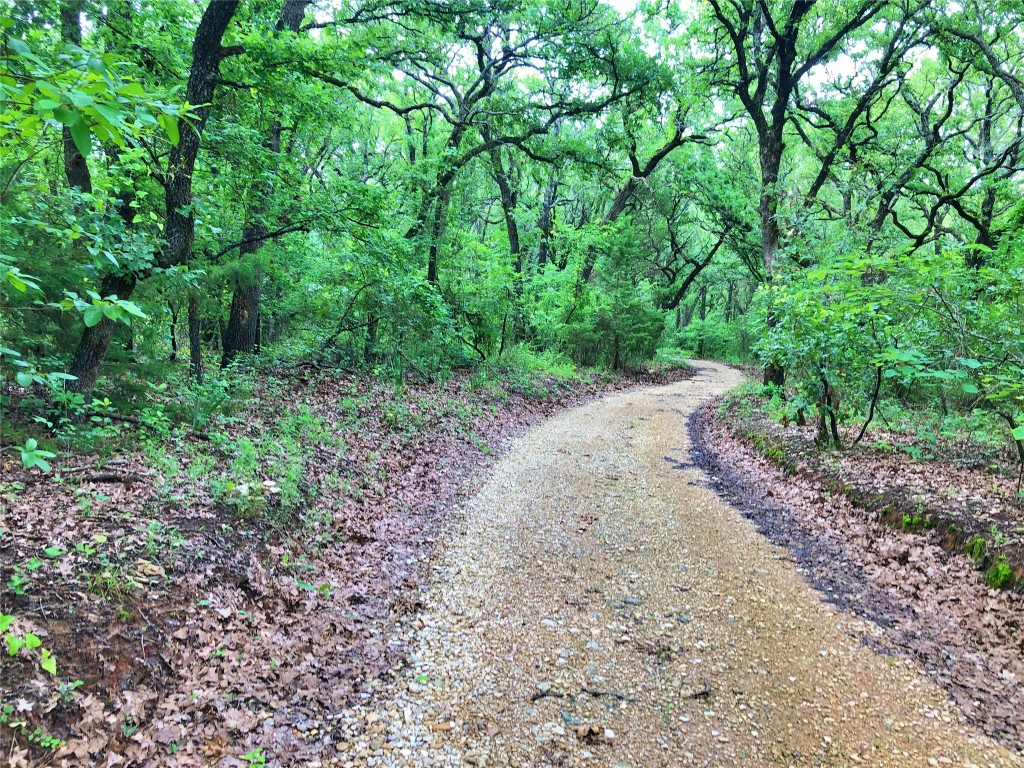 3425 Round Prairie Road Forestburg TX 76239