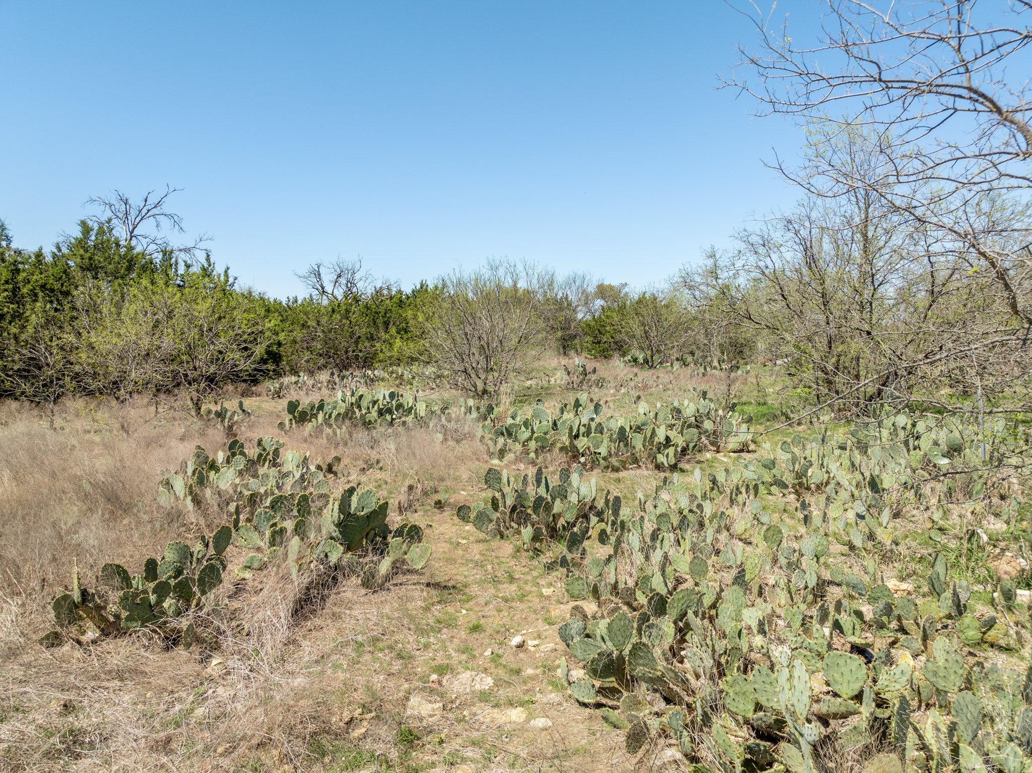 5448 County Road 182 Jonesboro TX 76538
