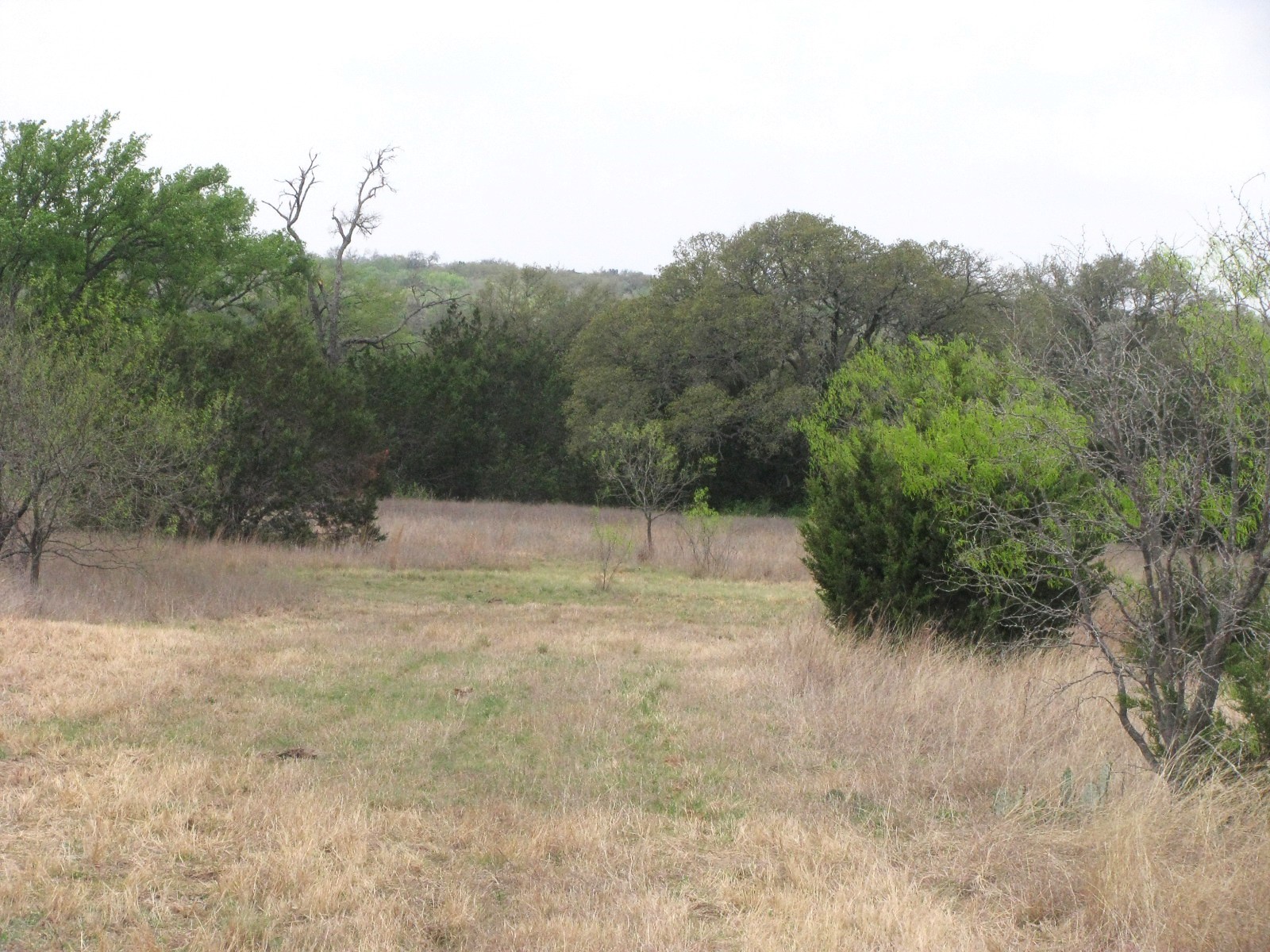 5448 County Road 182 Jonesboro TX 76538