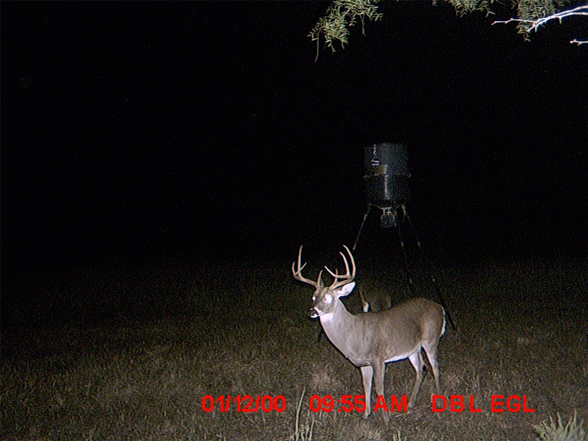 5448 County Road 182 Jonesboro TX 76538