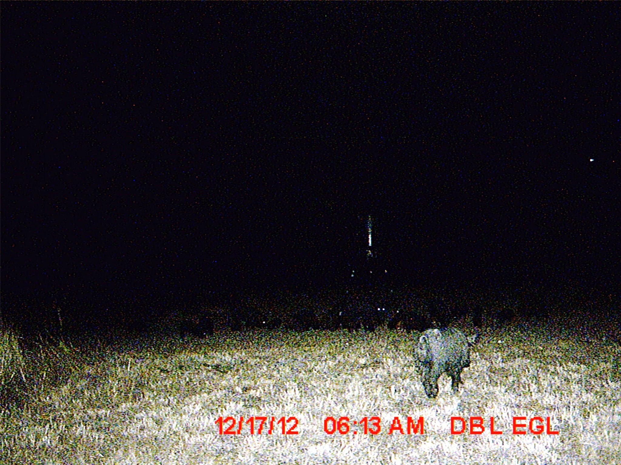 5448 County Road 182 Jonesboro TX 76538