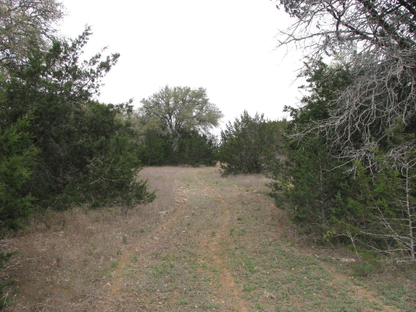 5448 County Road 182 Jonesboro TX 76538