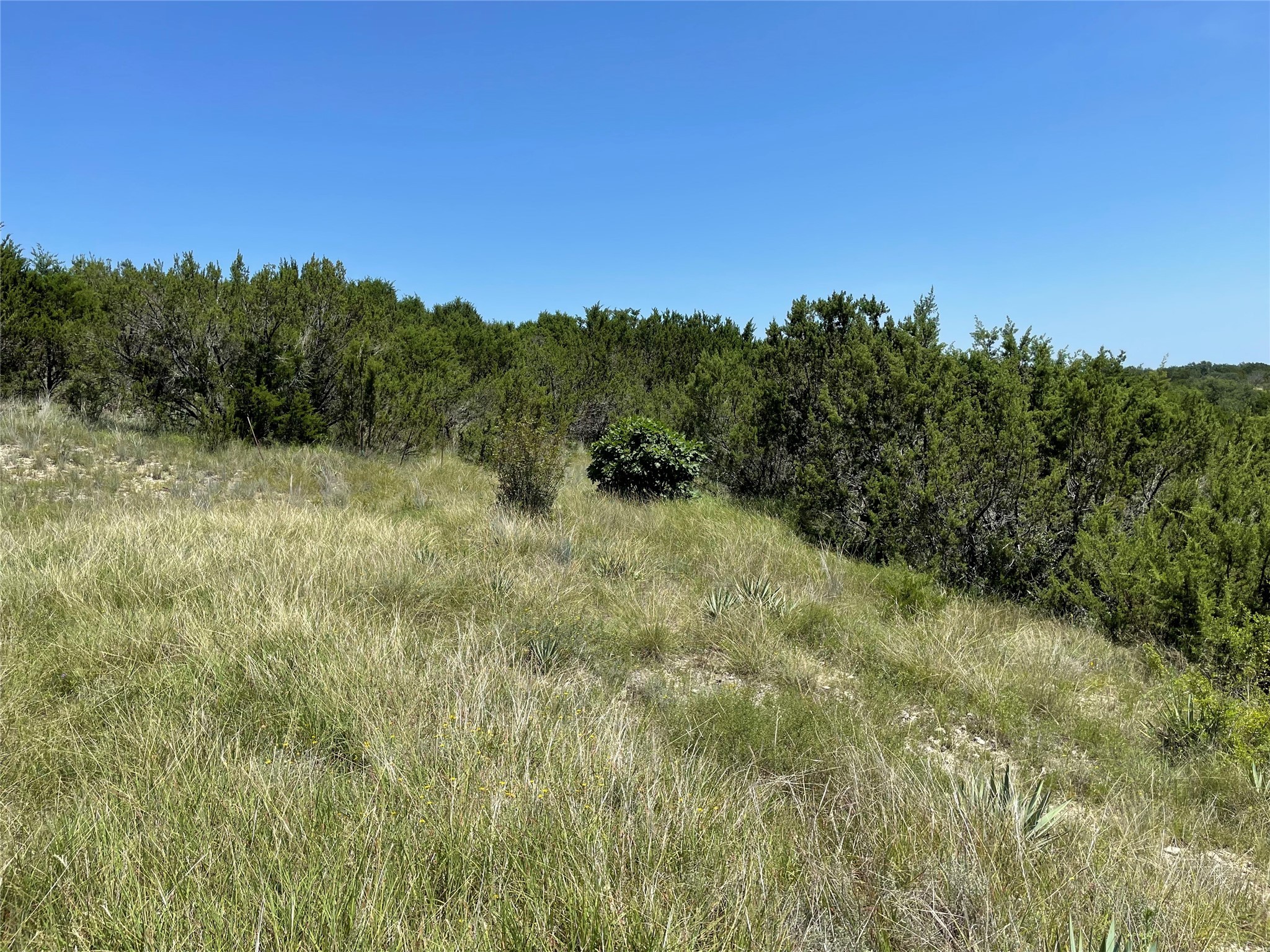 1425 Skyline Drive Bluff Dale TX 76433