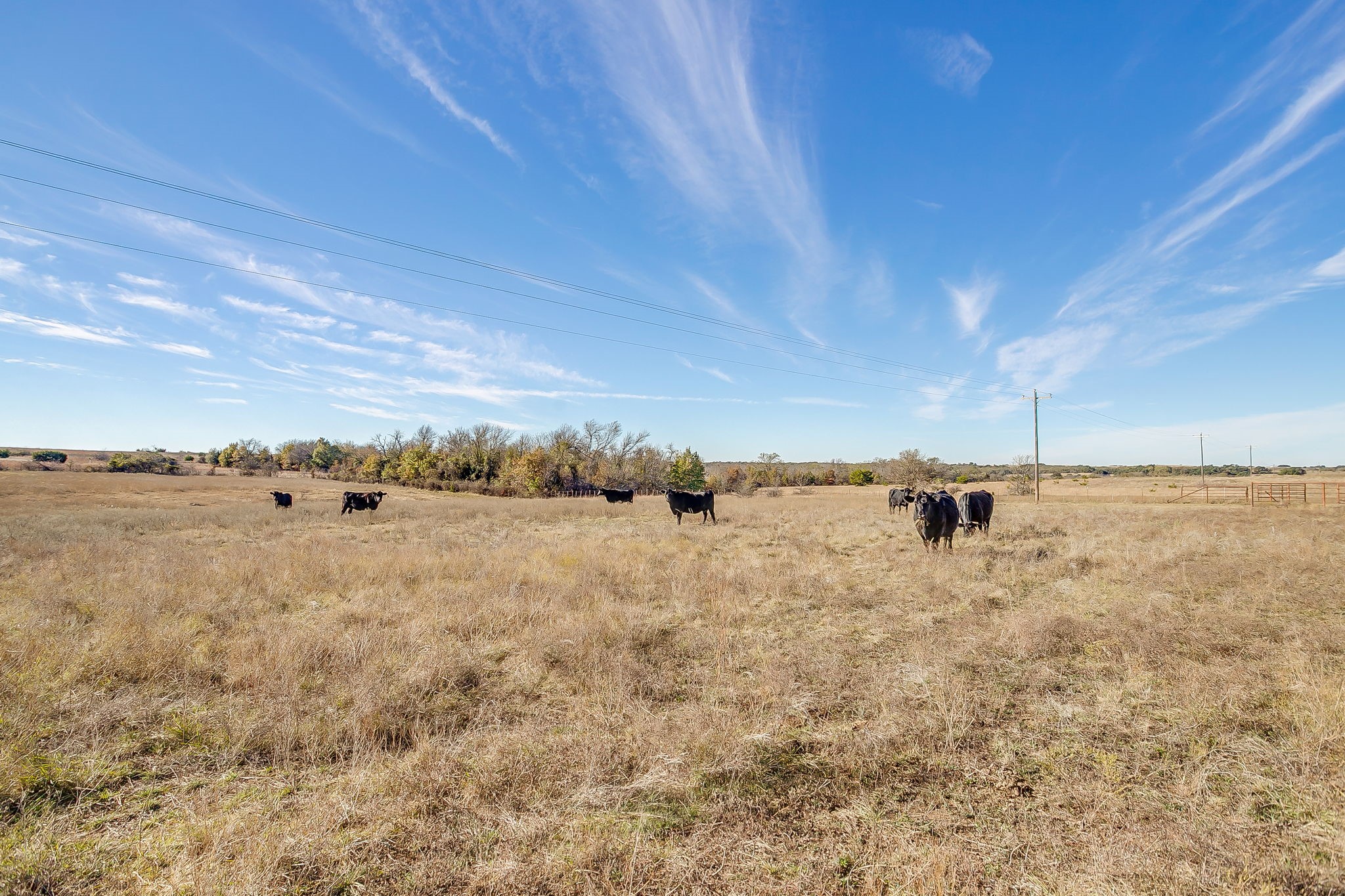 Tbd County Road 403 Stephenville TX 76401