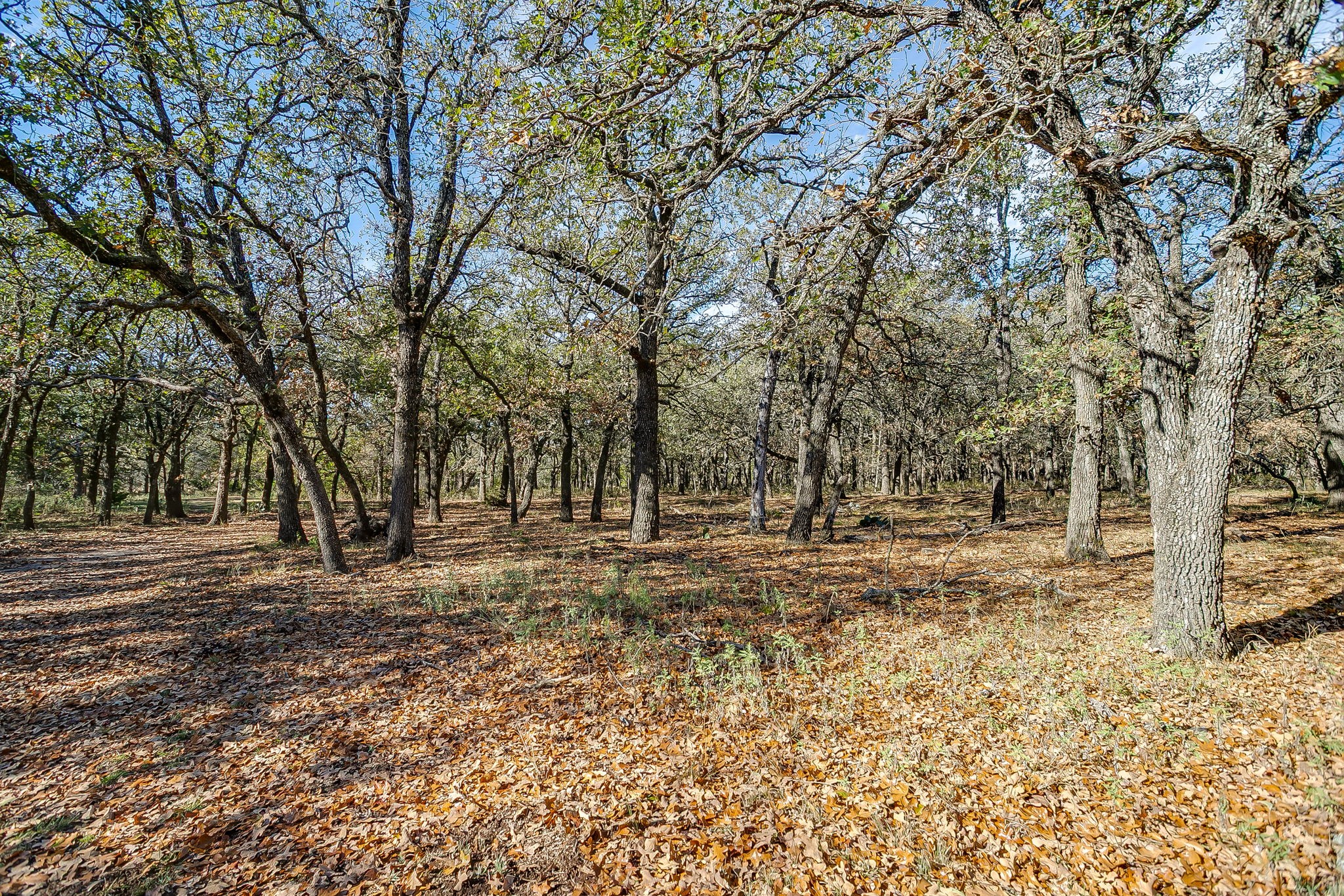 Tbd County Road 403 Stephenville TX 76401
