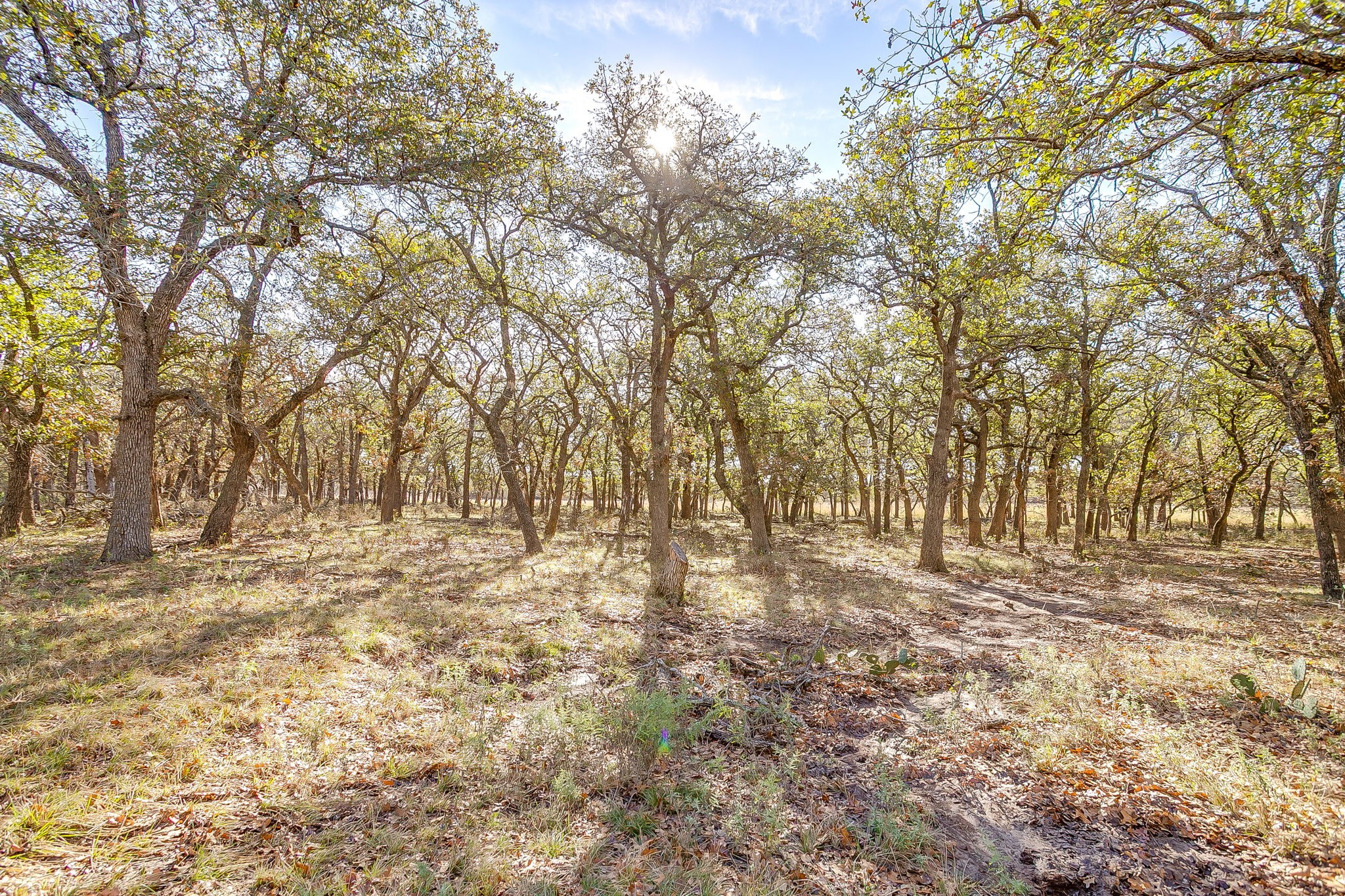 Tbd County Road 403 Stephenville TX 76401