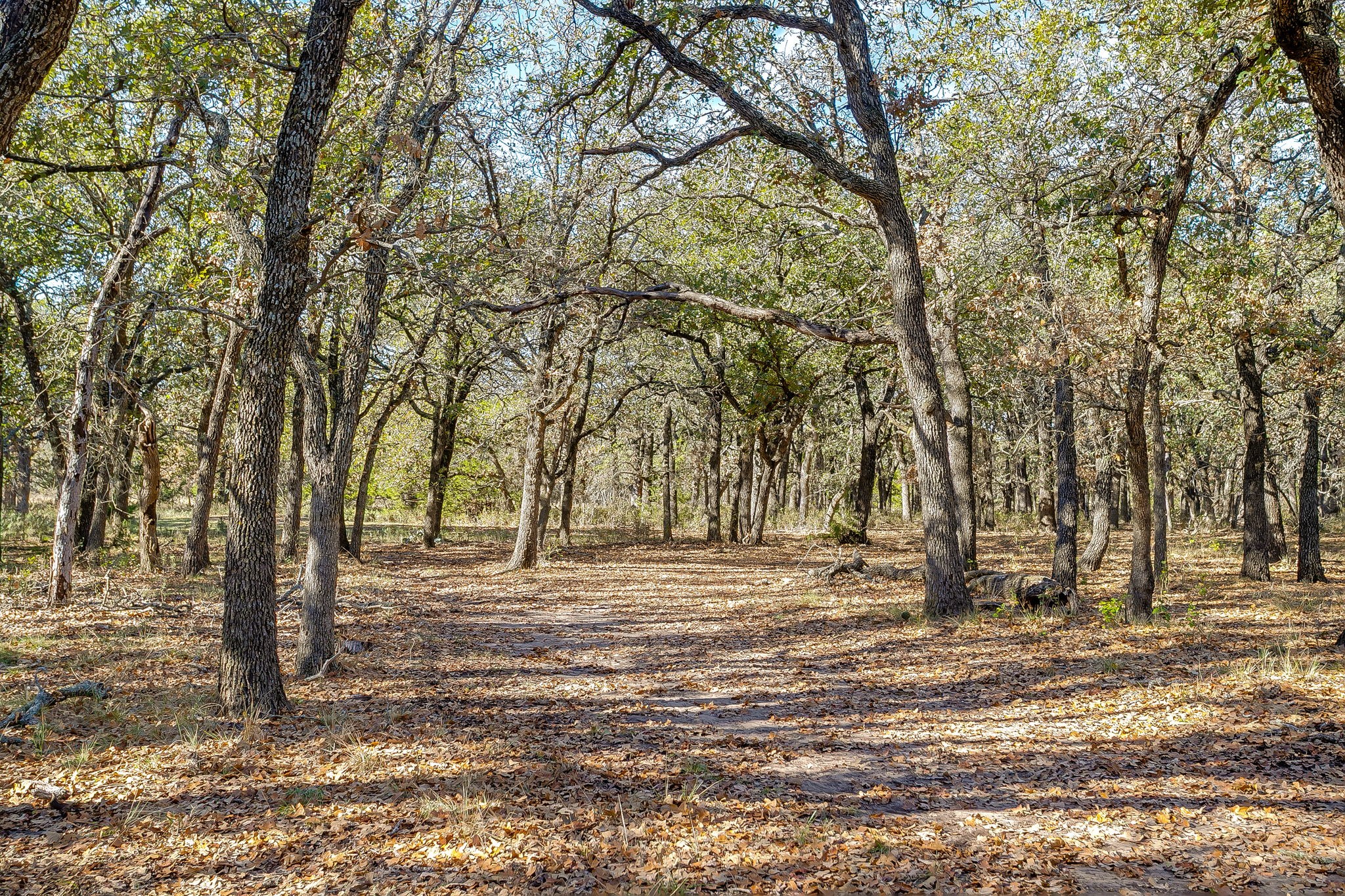 Tbd County Road 403 Stephenville TX 76401