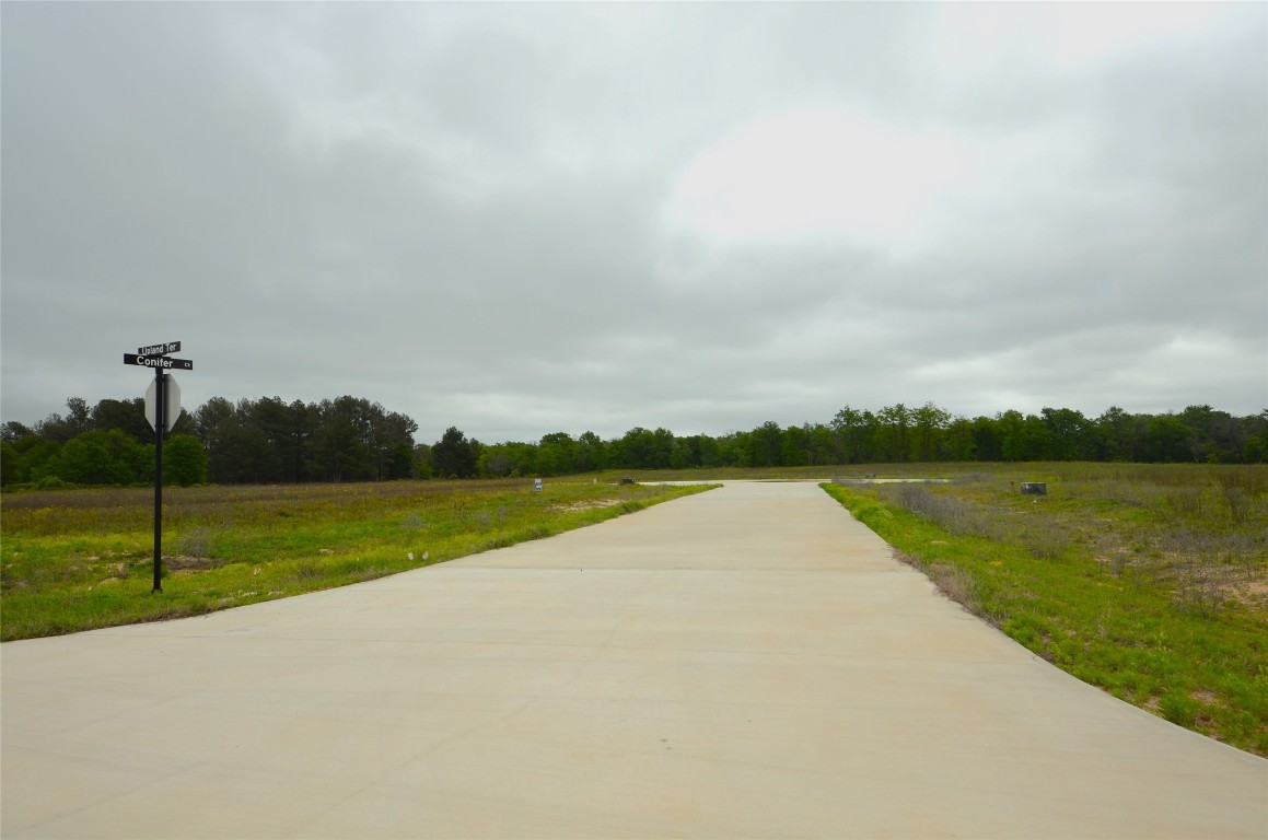 6005 Conifer Court Poolville TX 76487