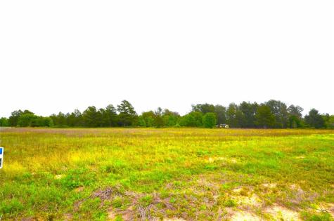 6005 Conifer Court Poolville TX 76487