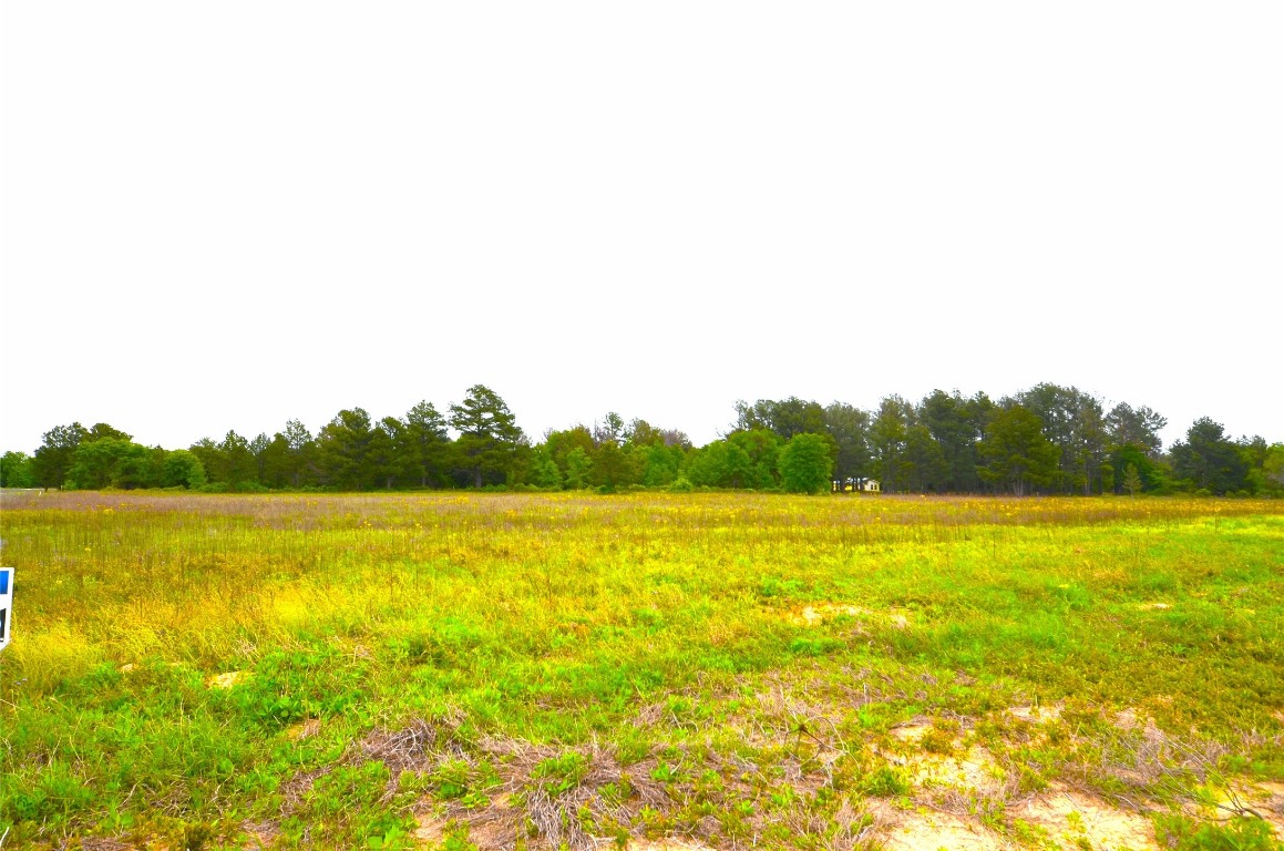 6005 Conifer Court Poolville TX 76487