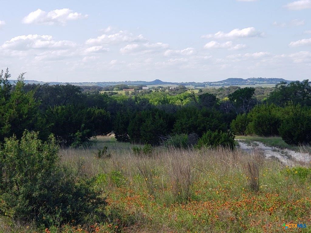 Lot 4 County Road 1255 Lampasas TX 76550