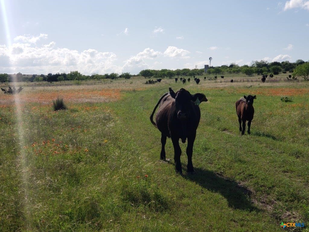 Lot 4 County Road 1255 Lampasas TX 76550