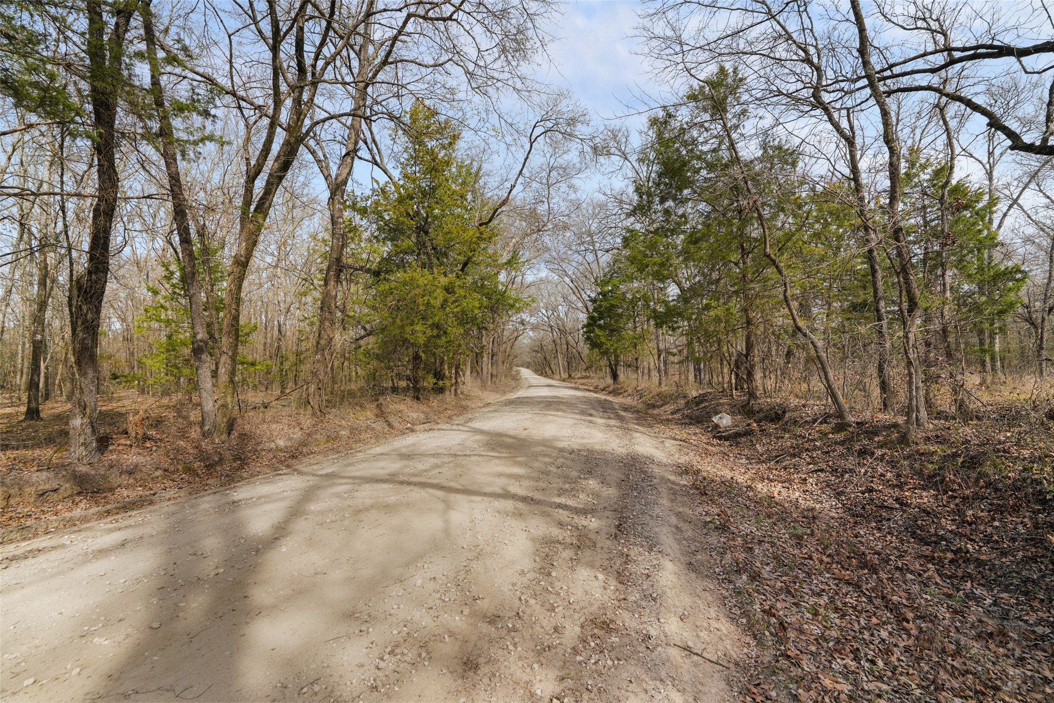 Tbd Cr 2400 Terrell TX 75160