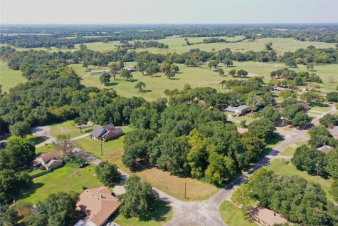 Lot 119 & Lot 120 Robindale Lane Fairfield TX 75840